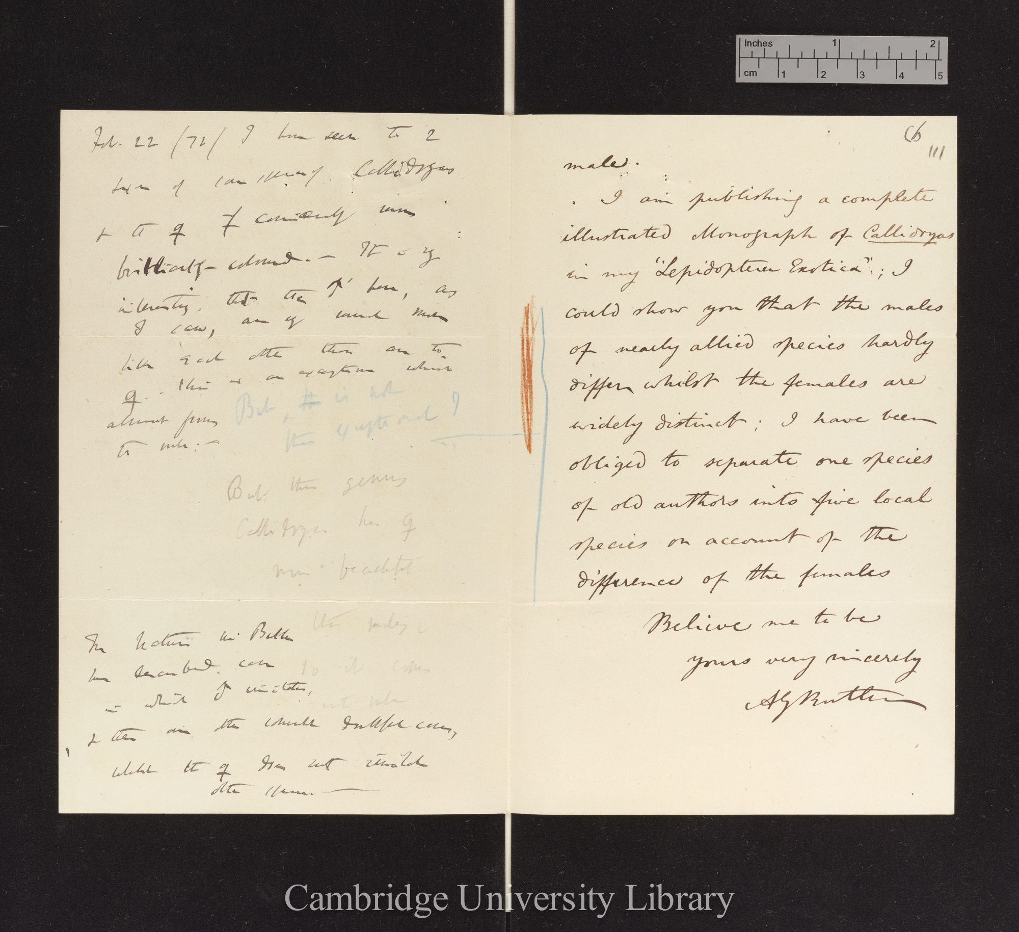 Arthur Gardiner Butler to Charles Robert Darwin