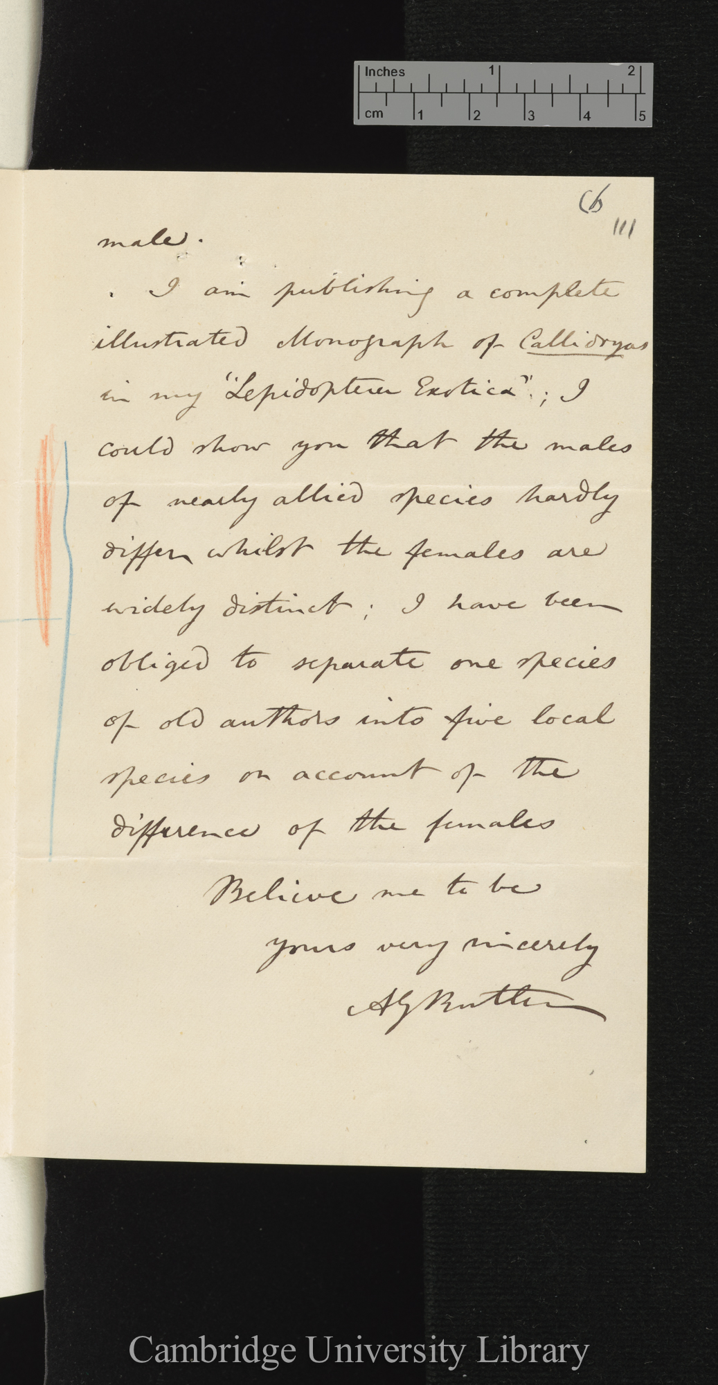 Arthur Gardiner Butler to Charles Robert Darwin