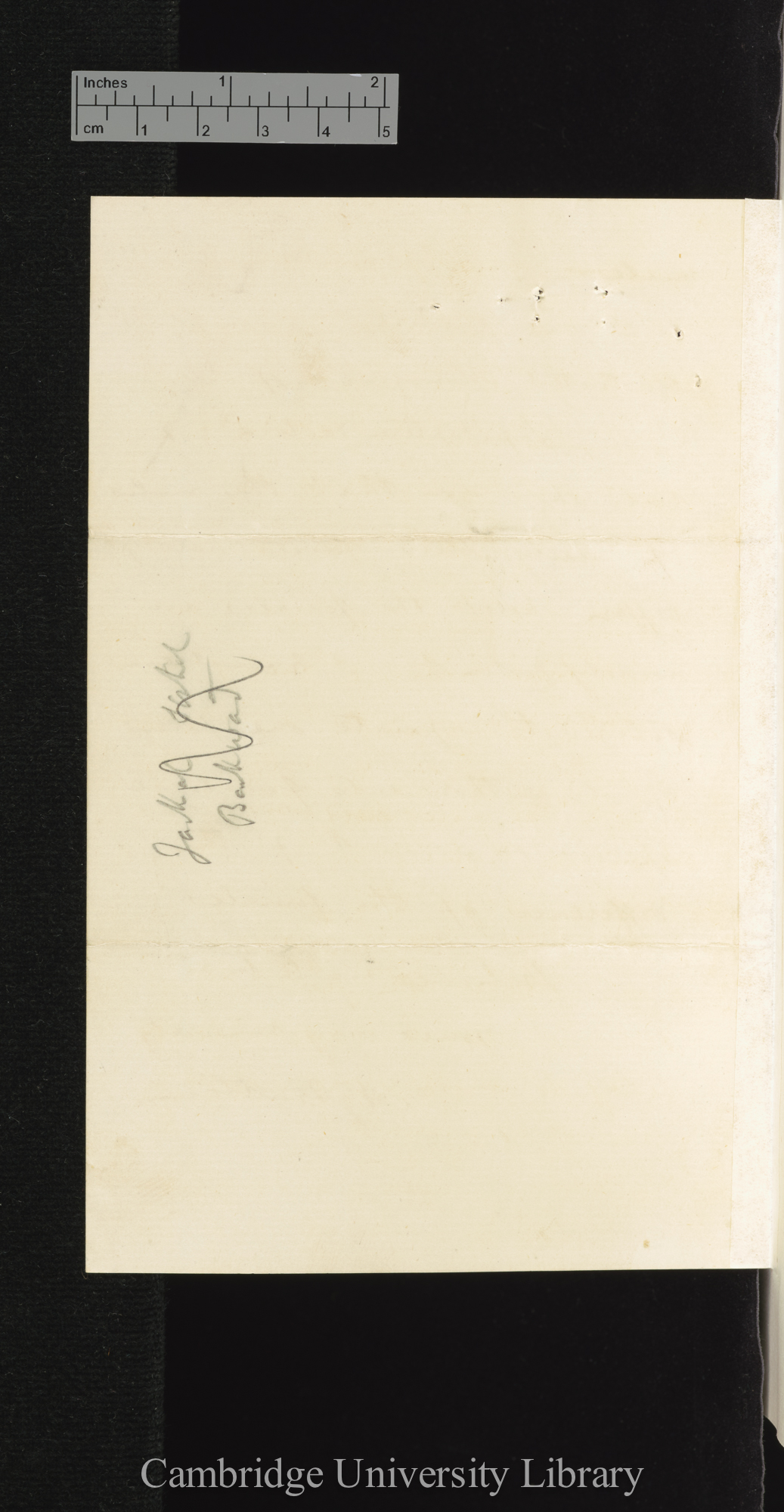 Arthur Gardiner Butler to Charles Robert Darwin