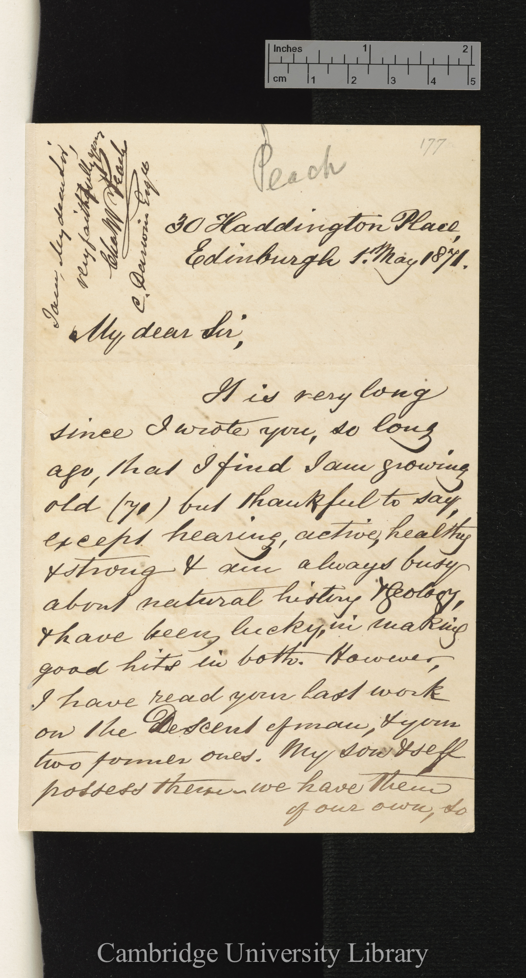 Charles William Peach to Charles Robert Darwin