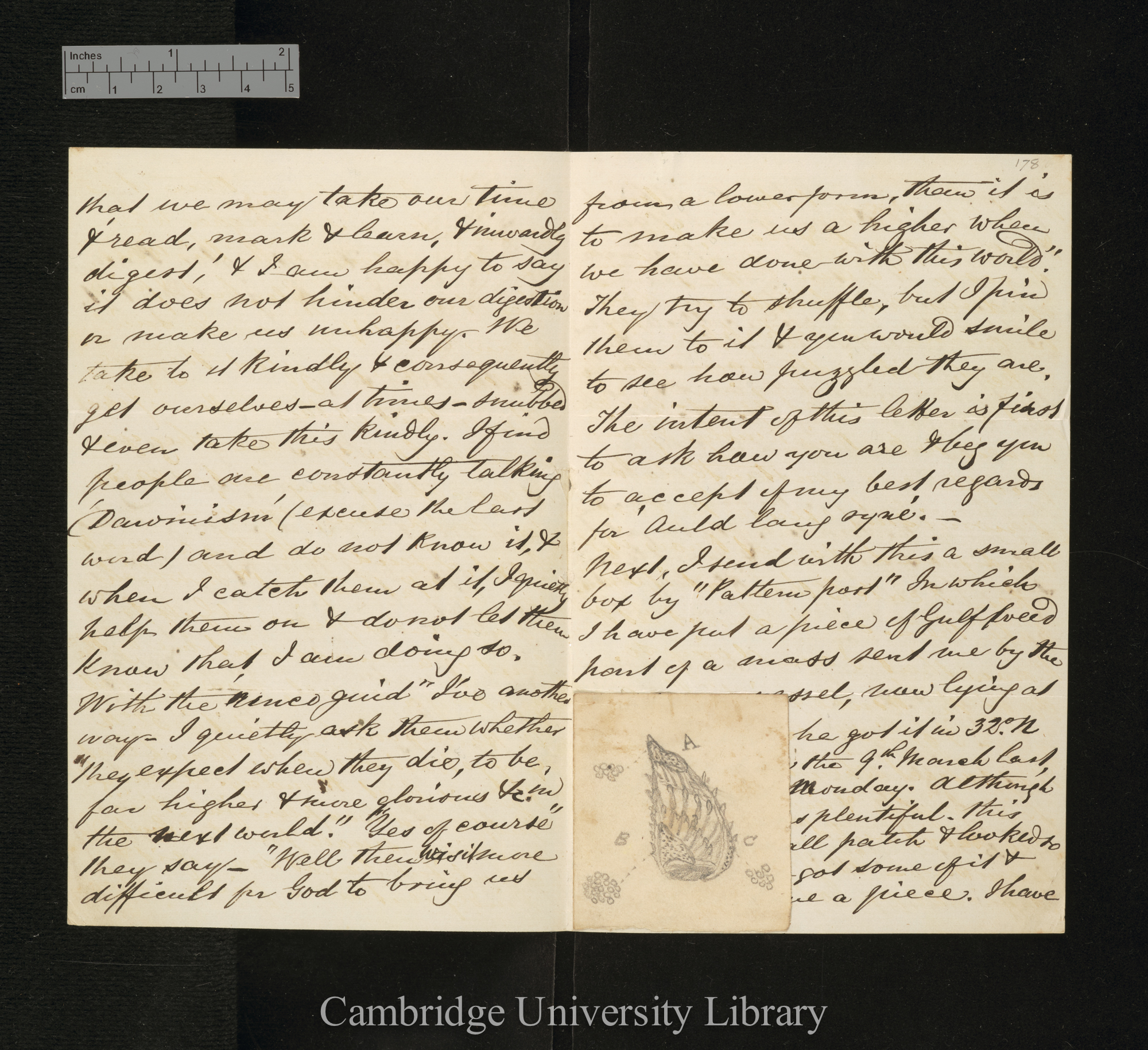 Charles William Peach to Charles Robert Darwin