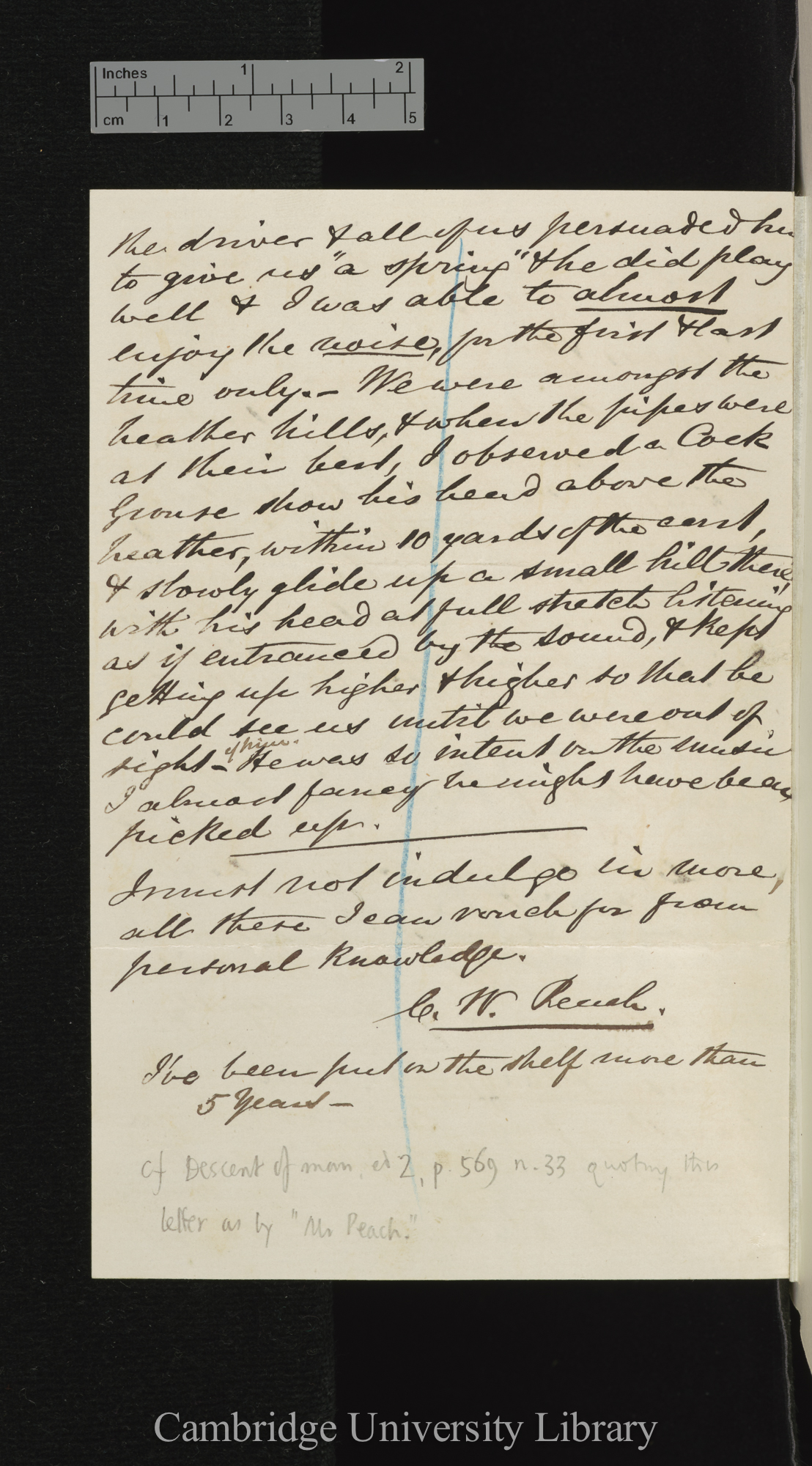 Charles William Peach to Charles Robert Darwin