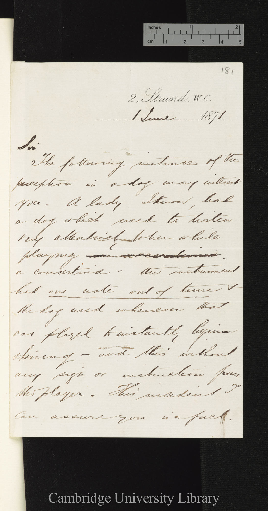 Thomas Bradfield to Charles Robert Darwin