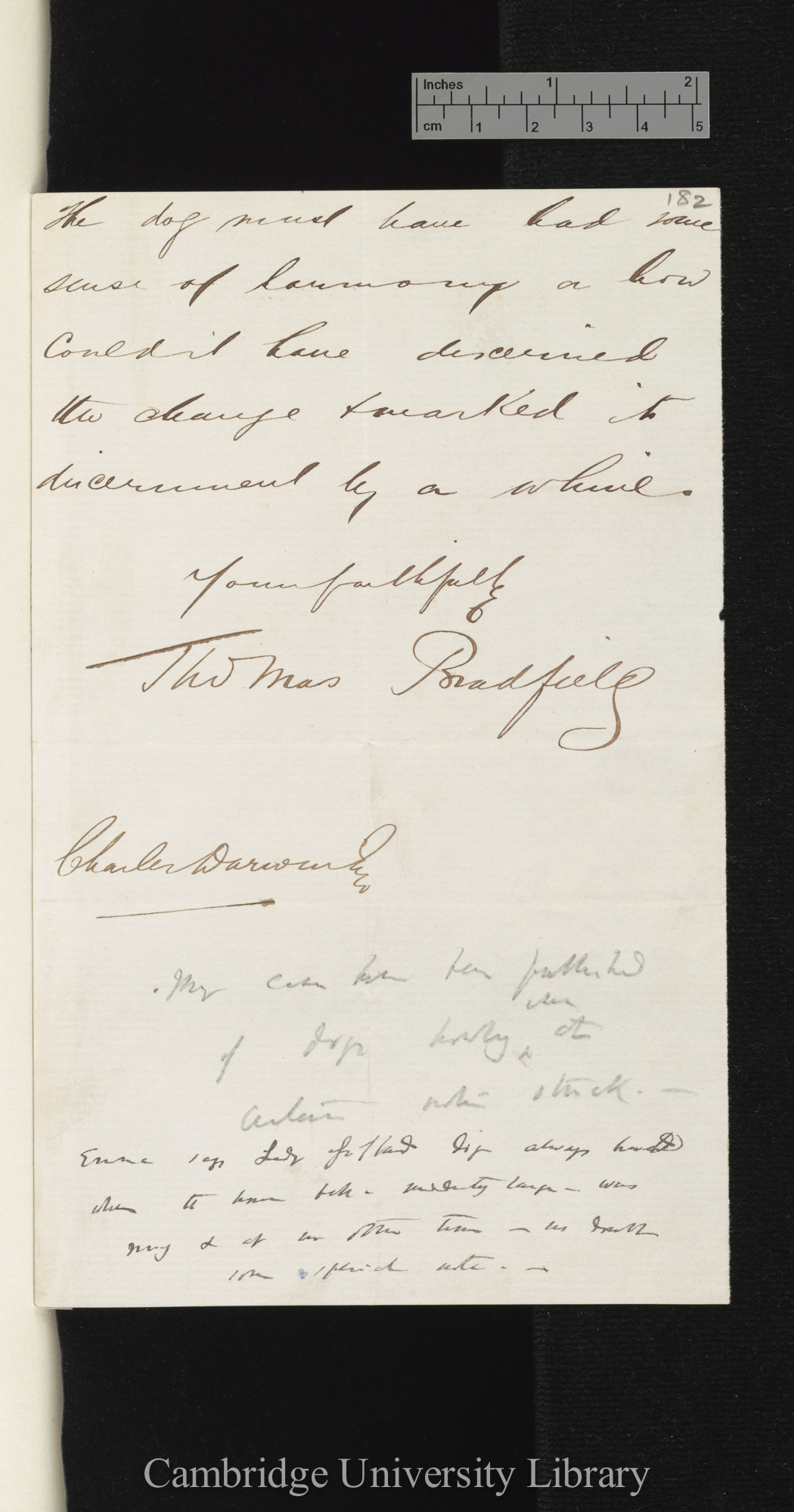 Thomas Bradfield to Charles Robert Darwin