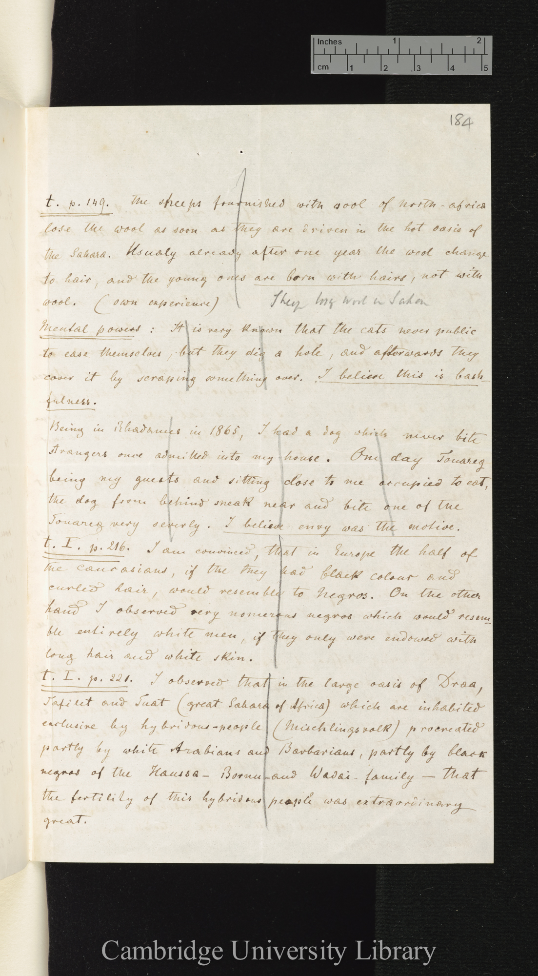 Gerhard Friedrich Rohlfs to Charles Robert Darwin