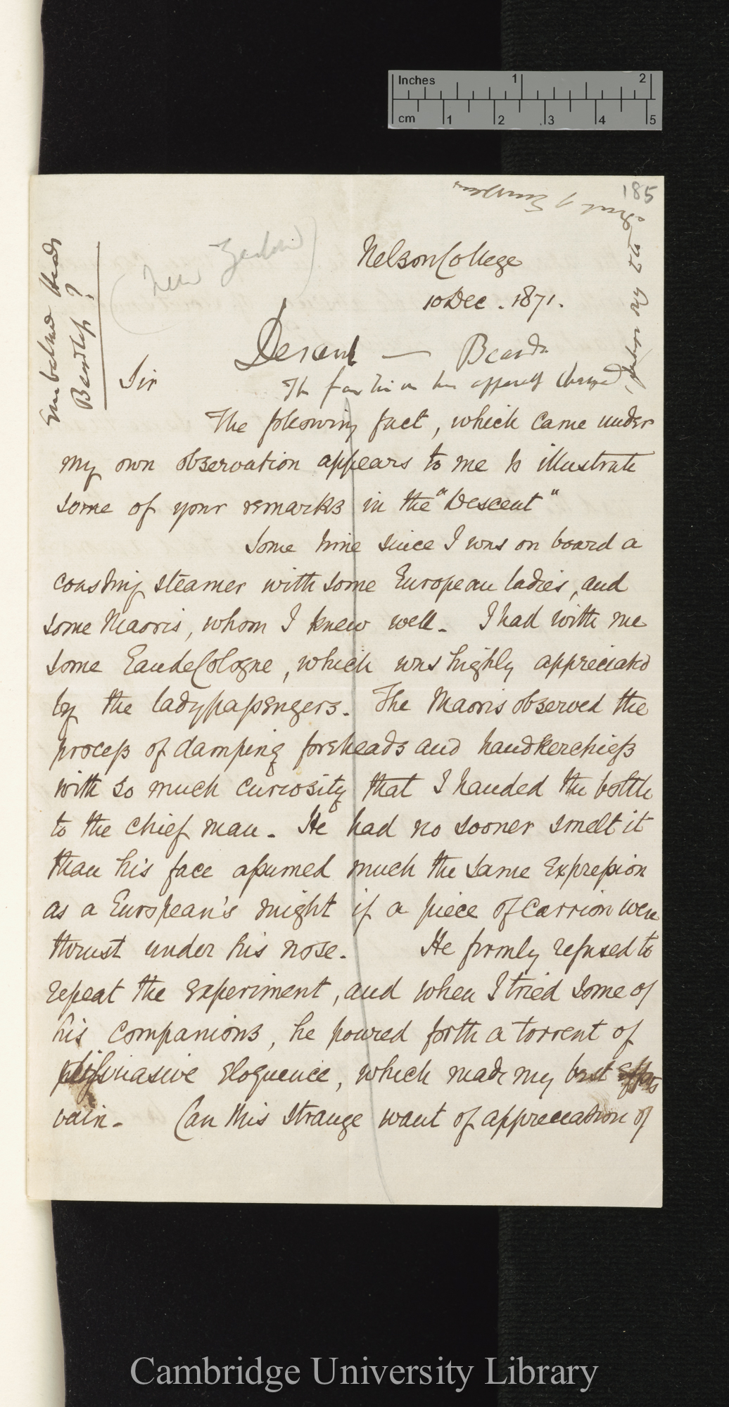 Francis Walter Churchill Simmons to Charles Robert Darwin