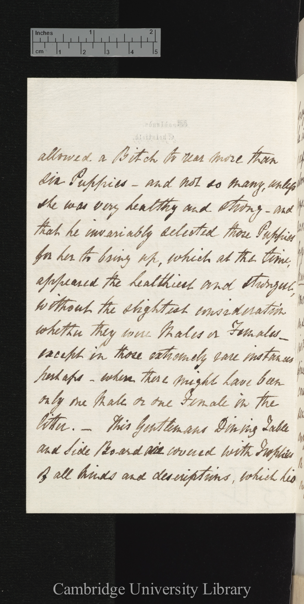 William Waring to Charles Robert Darwin