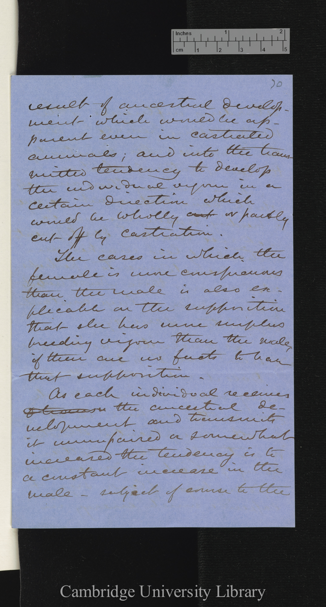 George Murdoch to Charles Robert Darwin