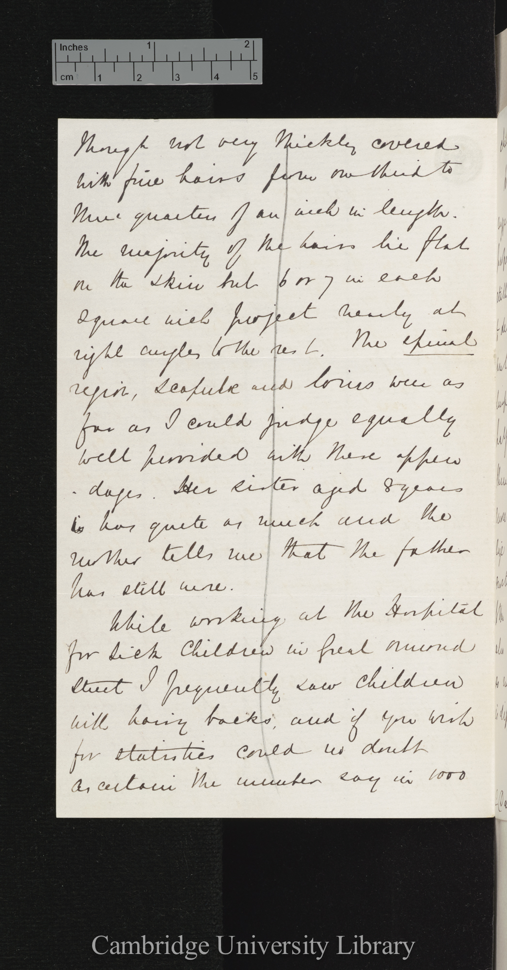 Philip Brookes Mason to Charles Robert Darwin