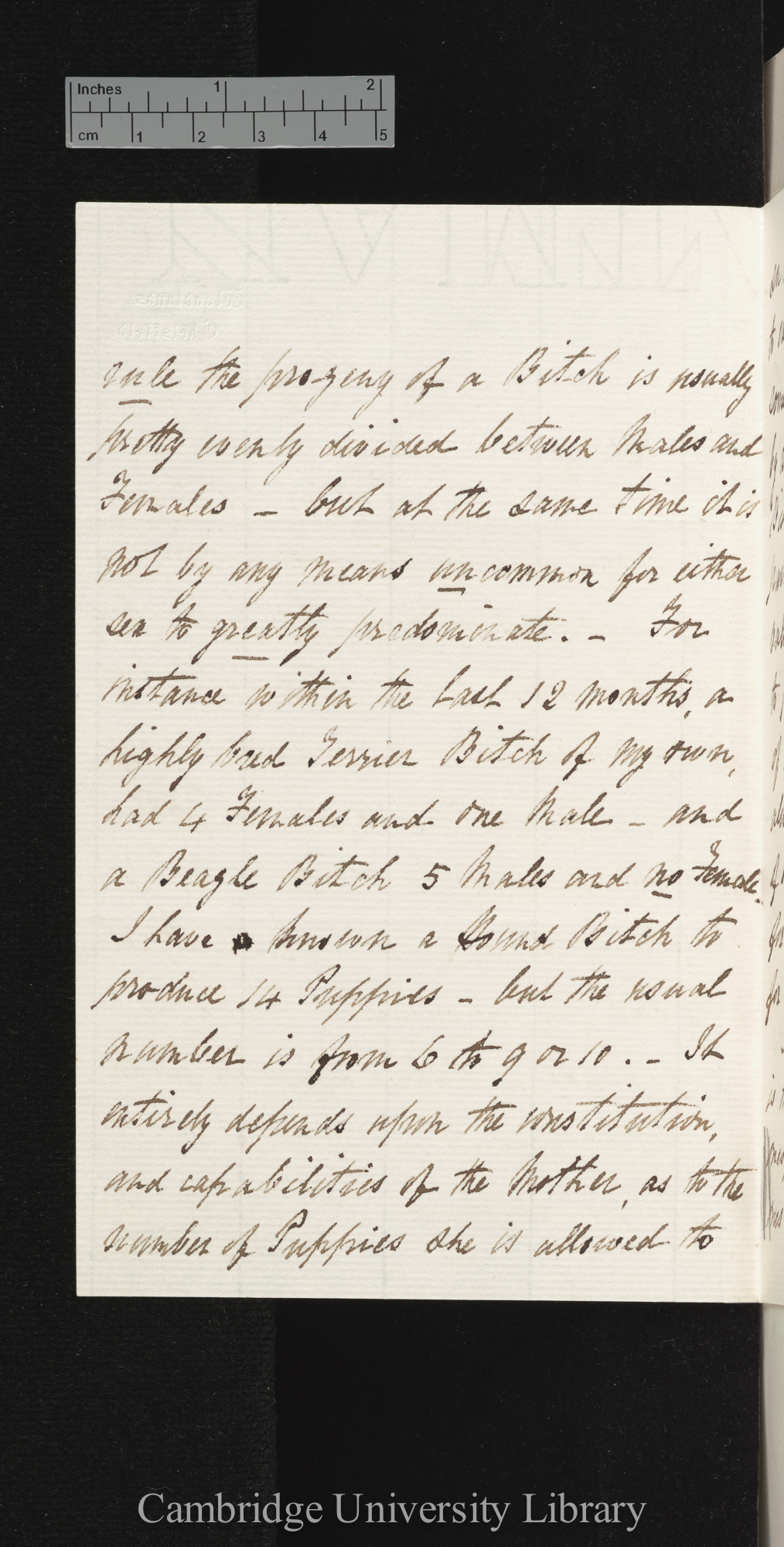 William Waring to Charles Robert Darwin