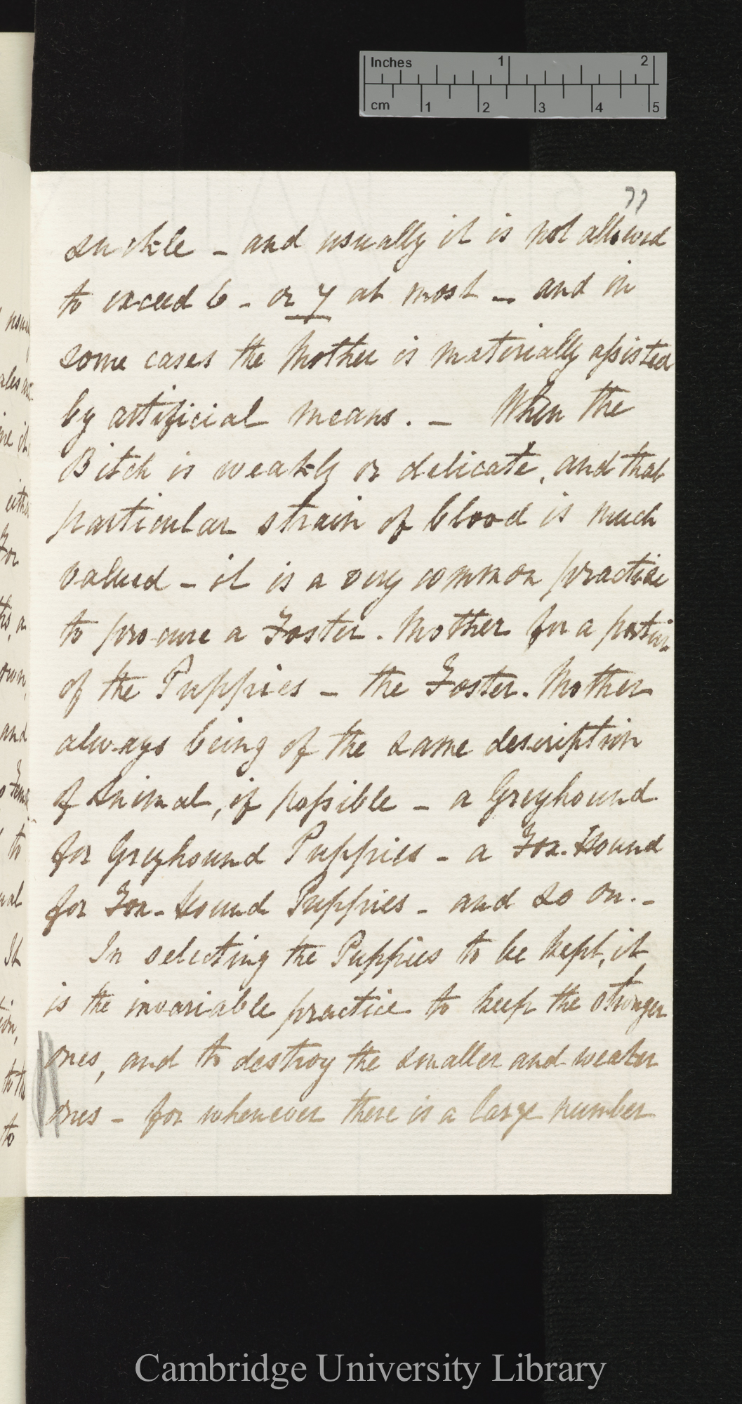 William Waring to Charles Robert Darwin