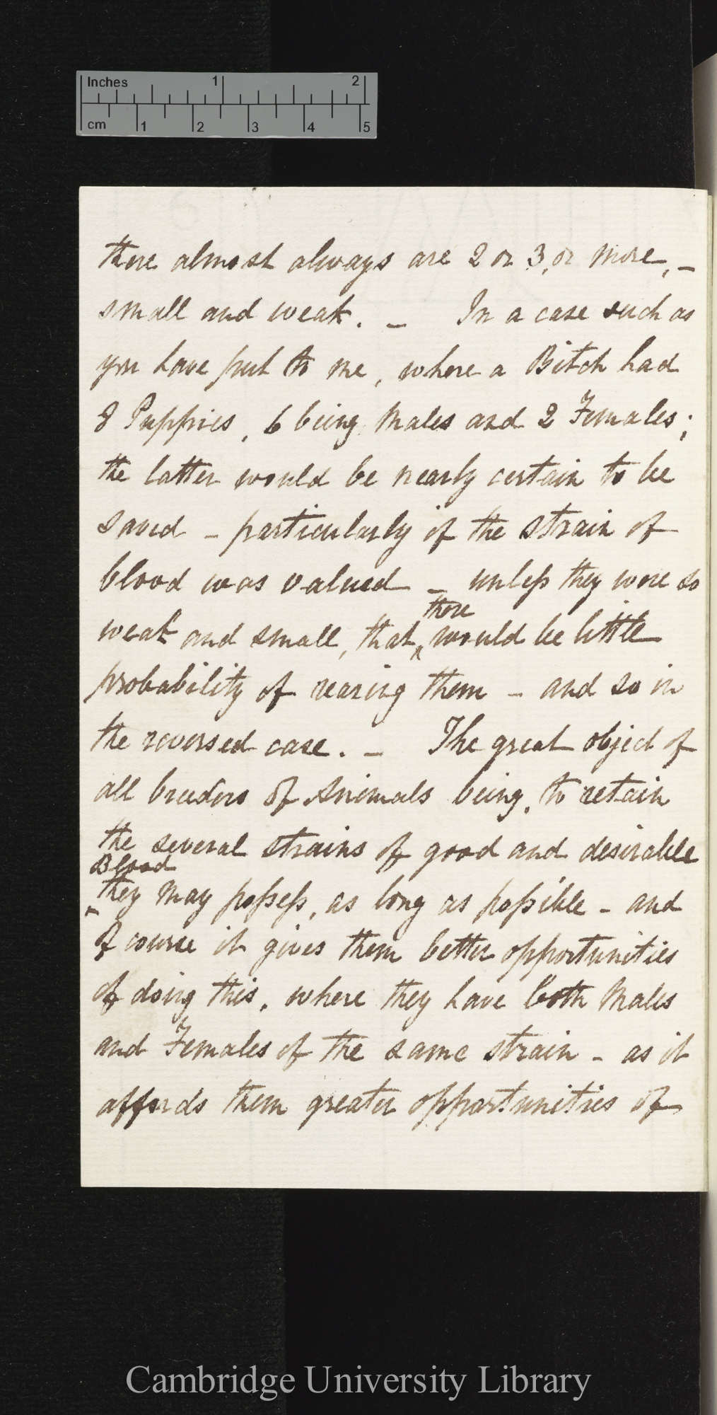 William Waring to Charles Robert Darwin