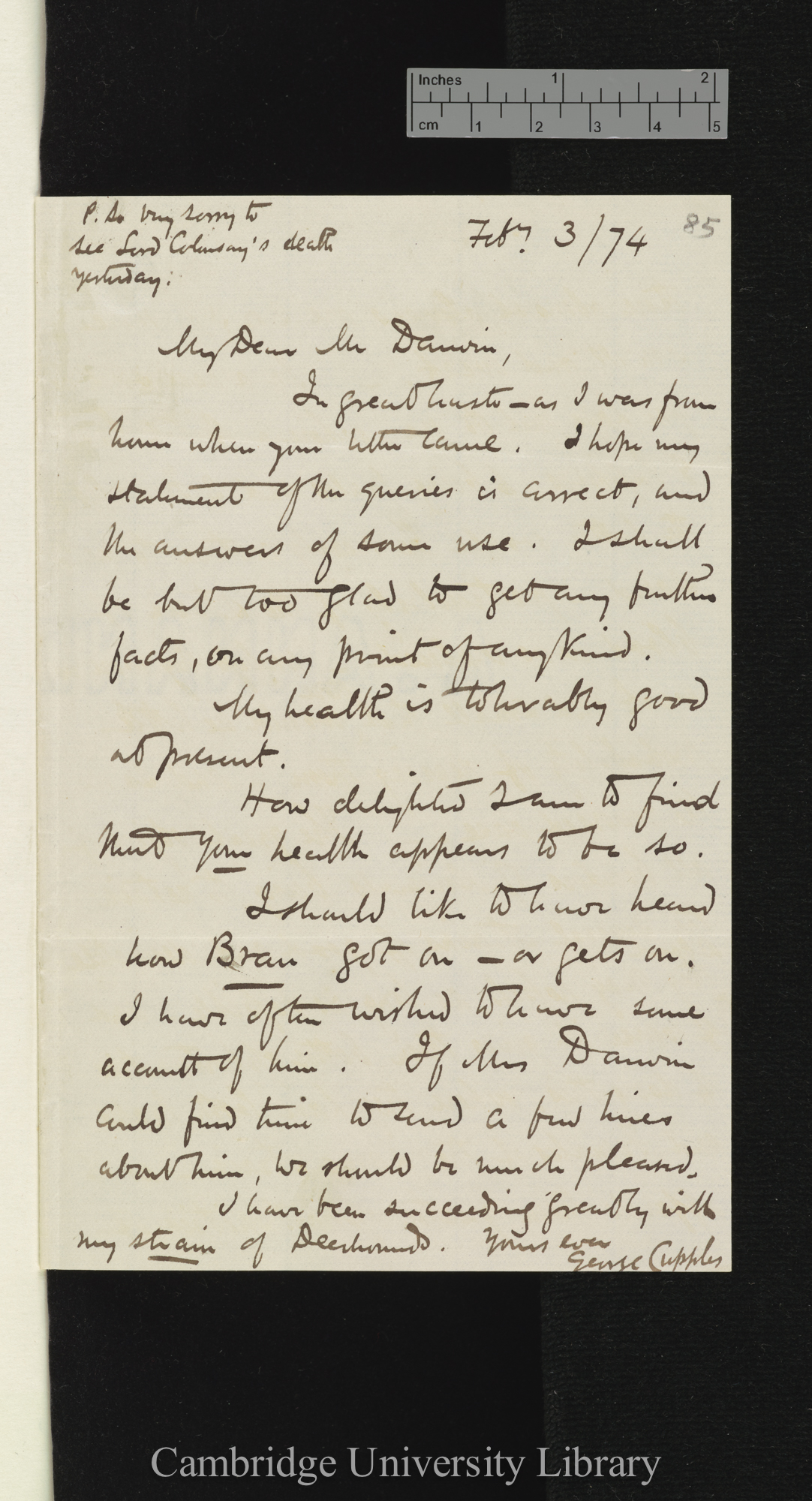 George Cupples to Charles Robert Darwin