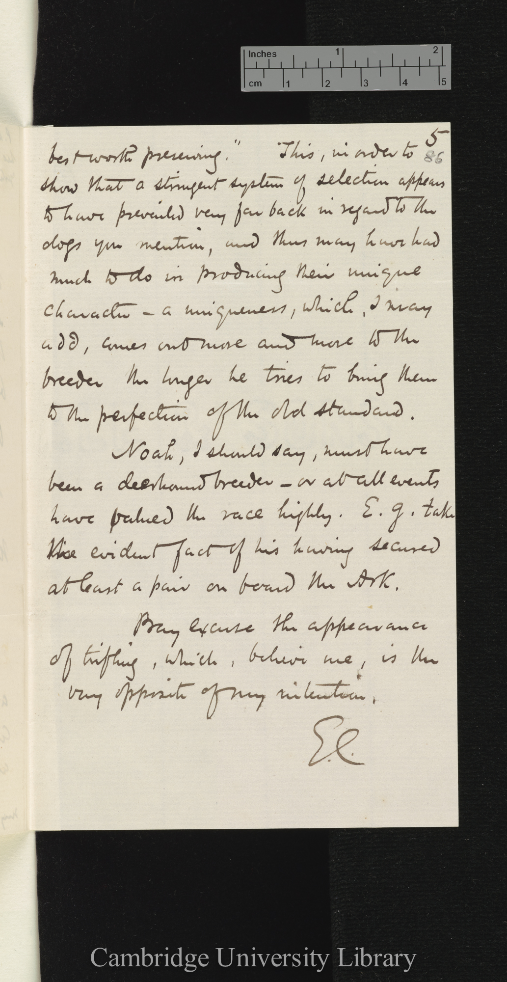 George Cupples to Charles Robert Darwin