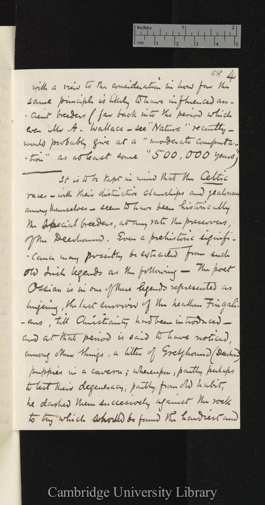 George Cupples to Charles Robert Darwin