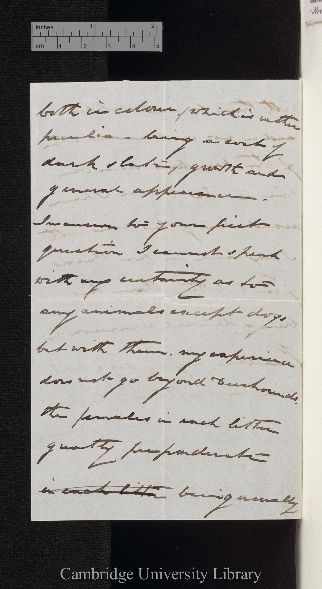 Thomas Morse to George Cupples