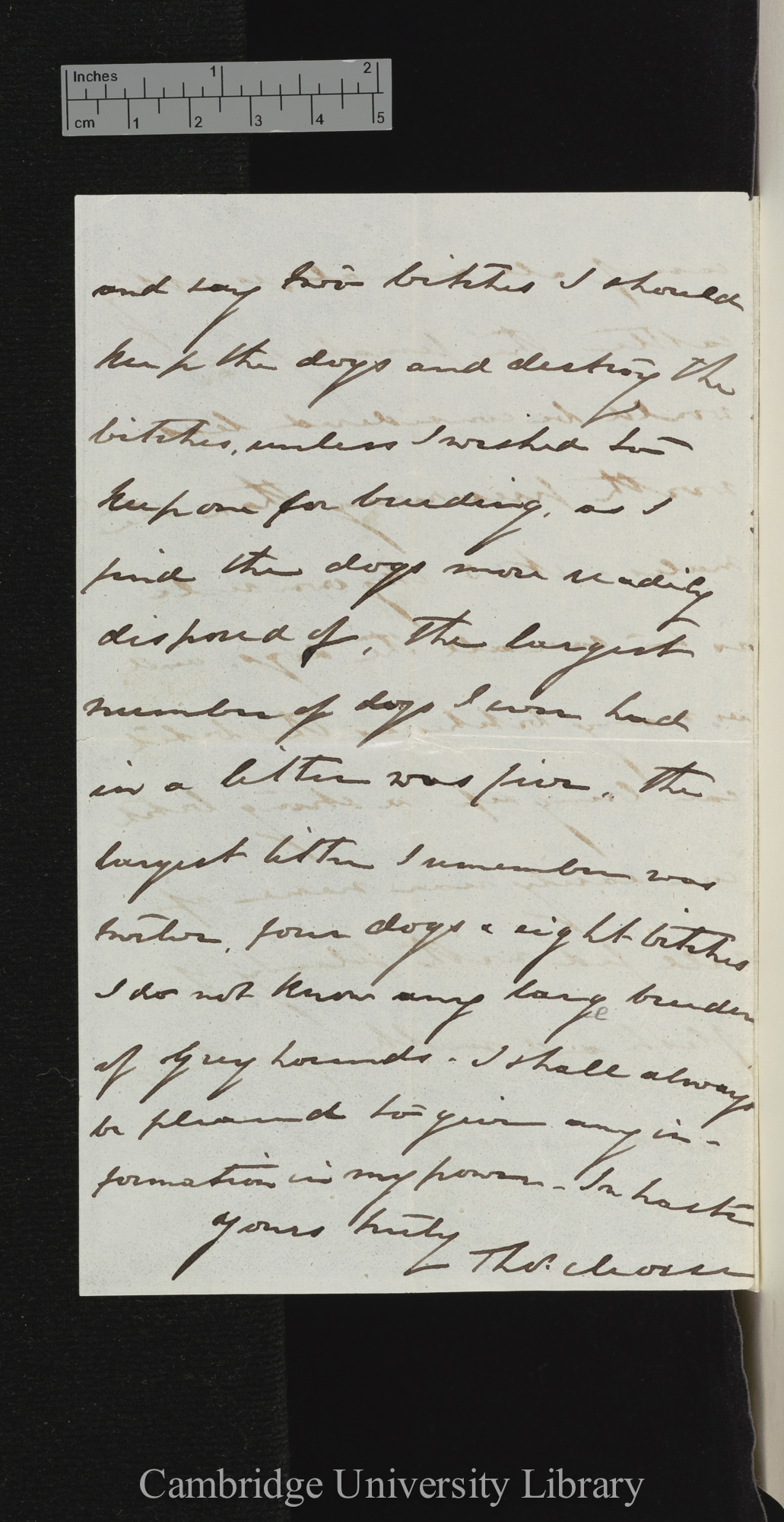 Thomas Morse to George Cupples