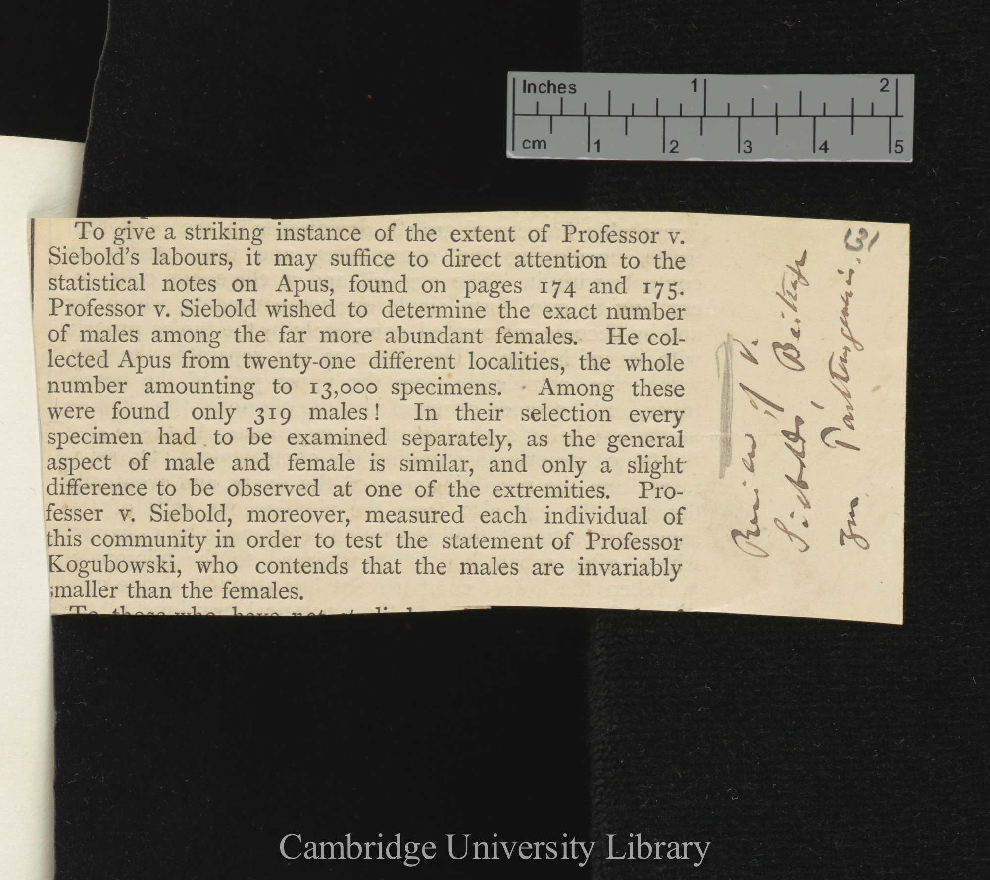 [unidentified]. Review of Siebold C T E von &#39;Beiträge zur Parthenogenesis&#39; &#39;[source unknown]&#39;: [fragment]