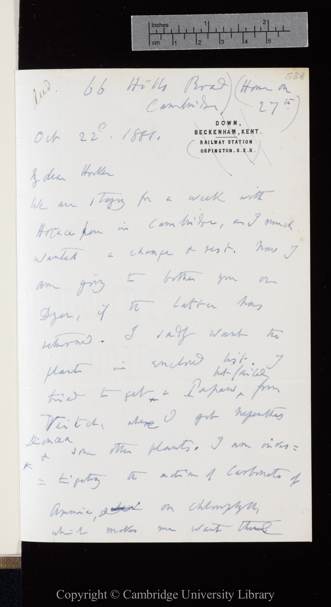 Letter from C. R. Darwin to J. D. Hooker   22 October 1881