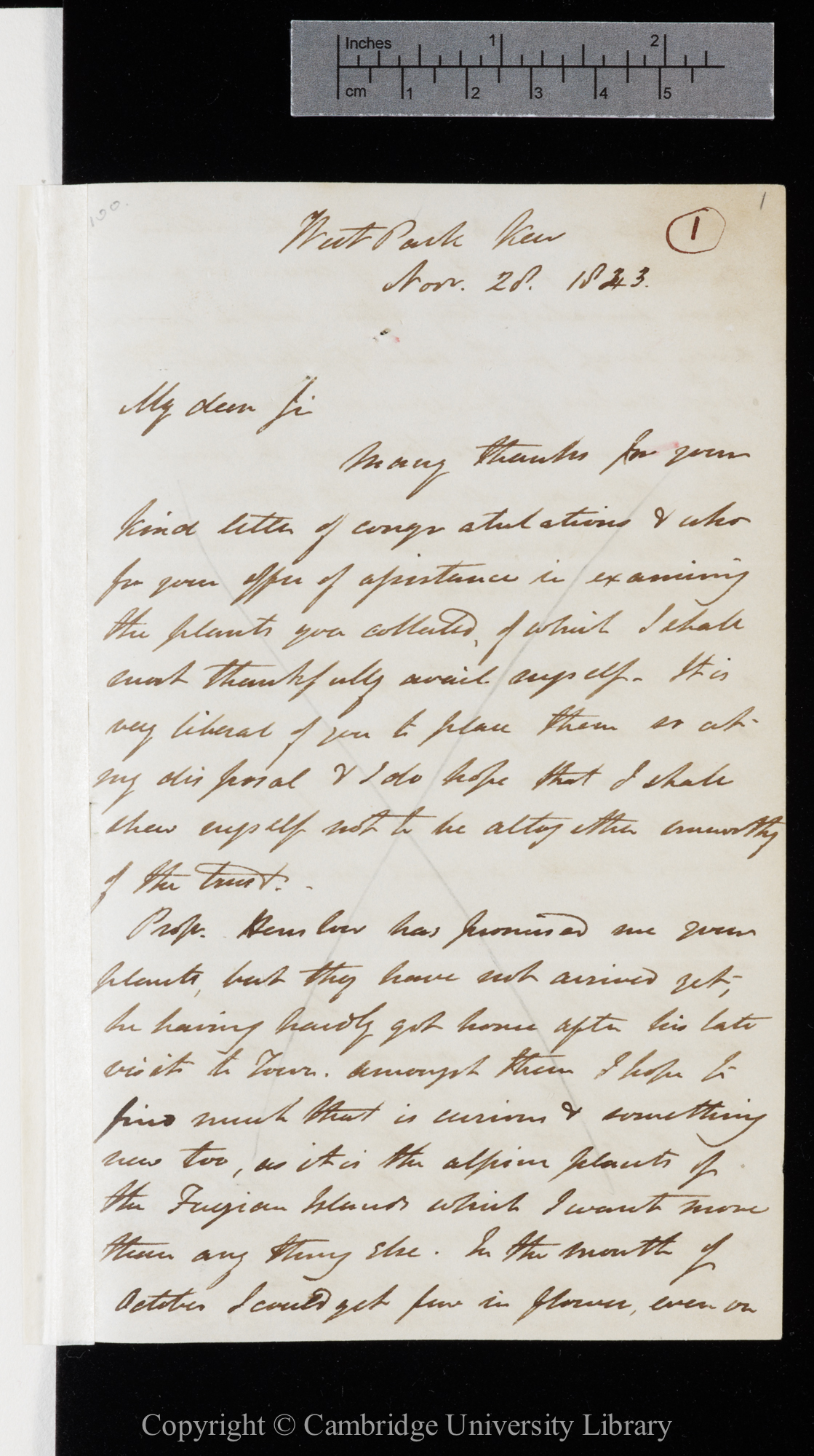 Letter from J. D. Hooker to C. R. Darwin   28 November 1843