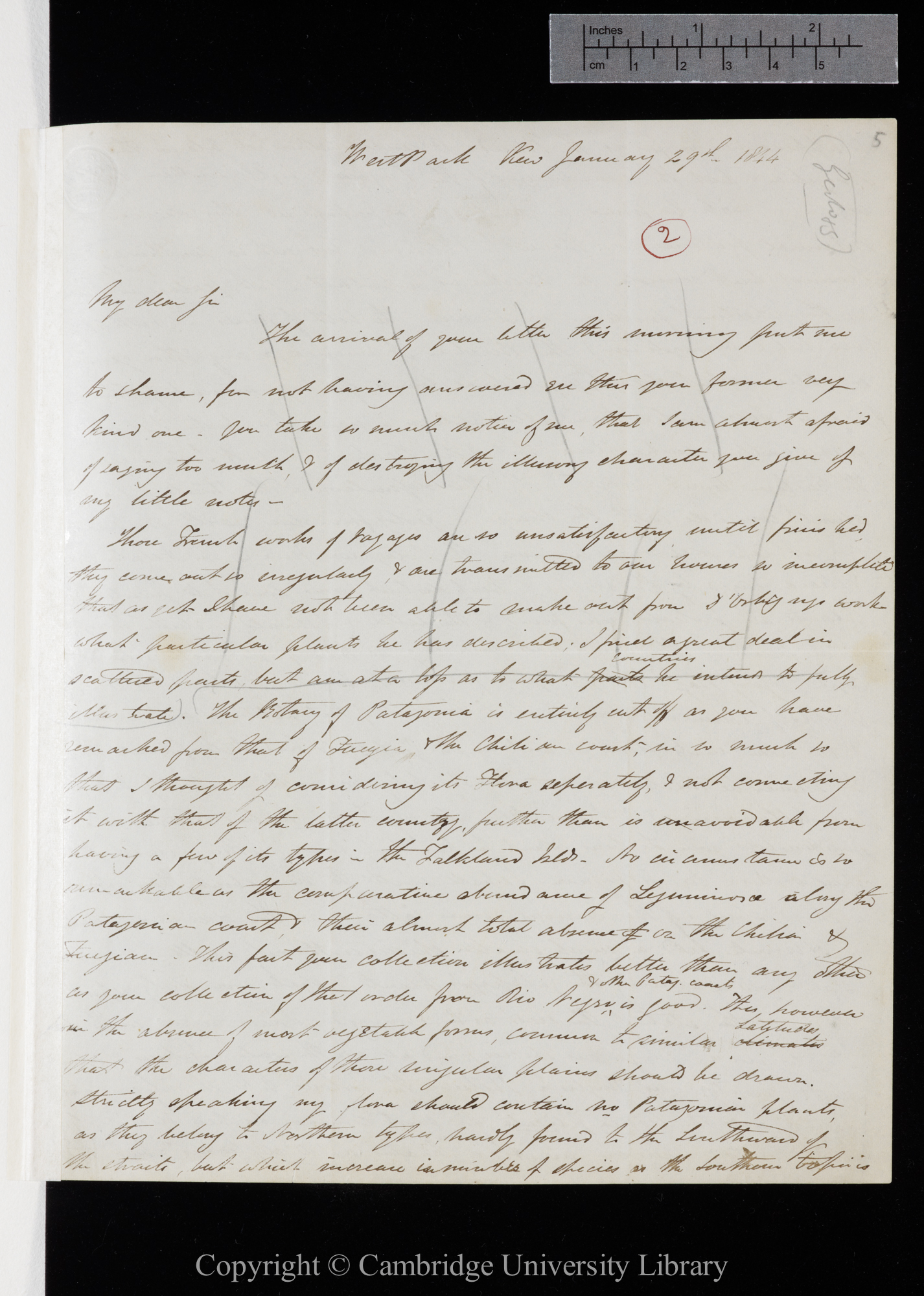 Letter from J. D. Hooker to C. R. Darwin   29 January 1844
