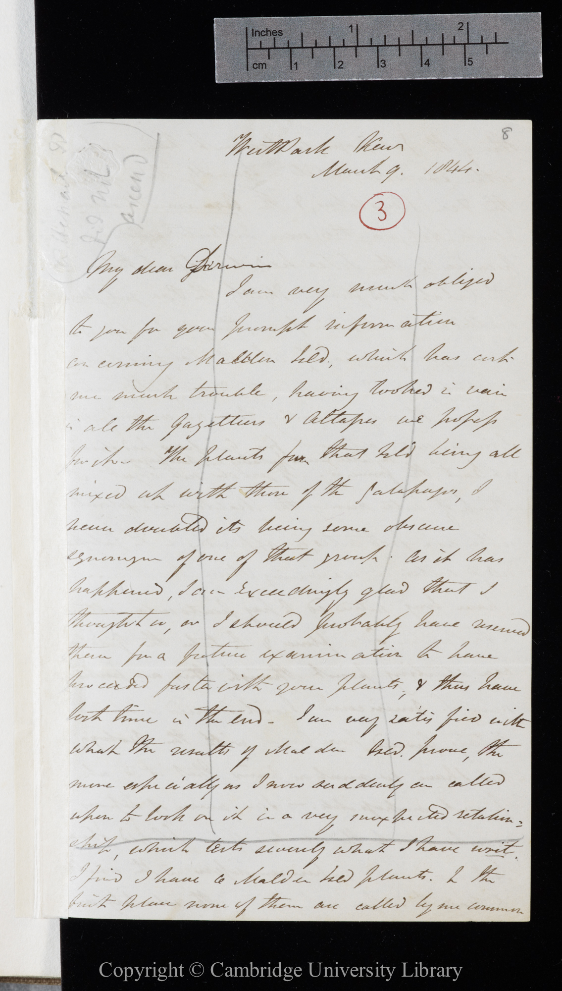 Letter from J. D. Hooker to C. R. Darwin   9 March 1844