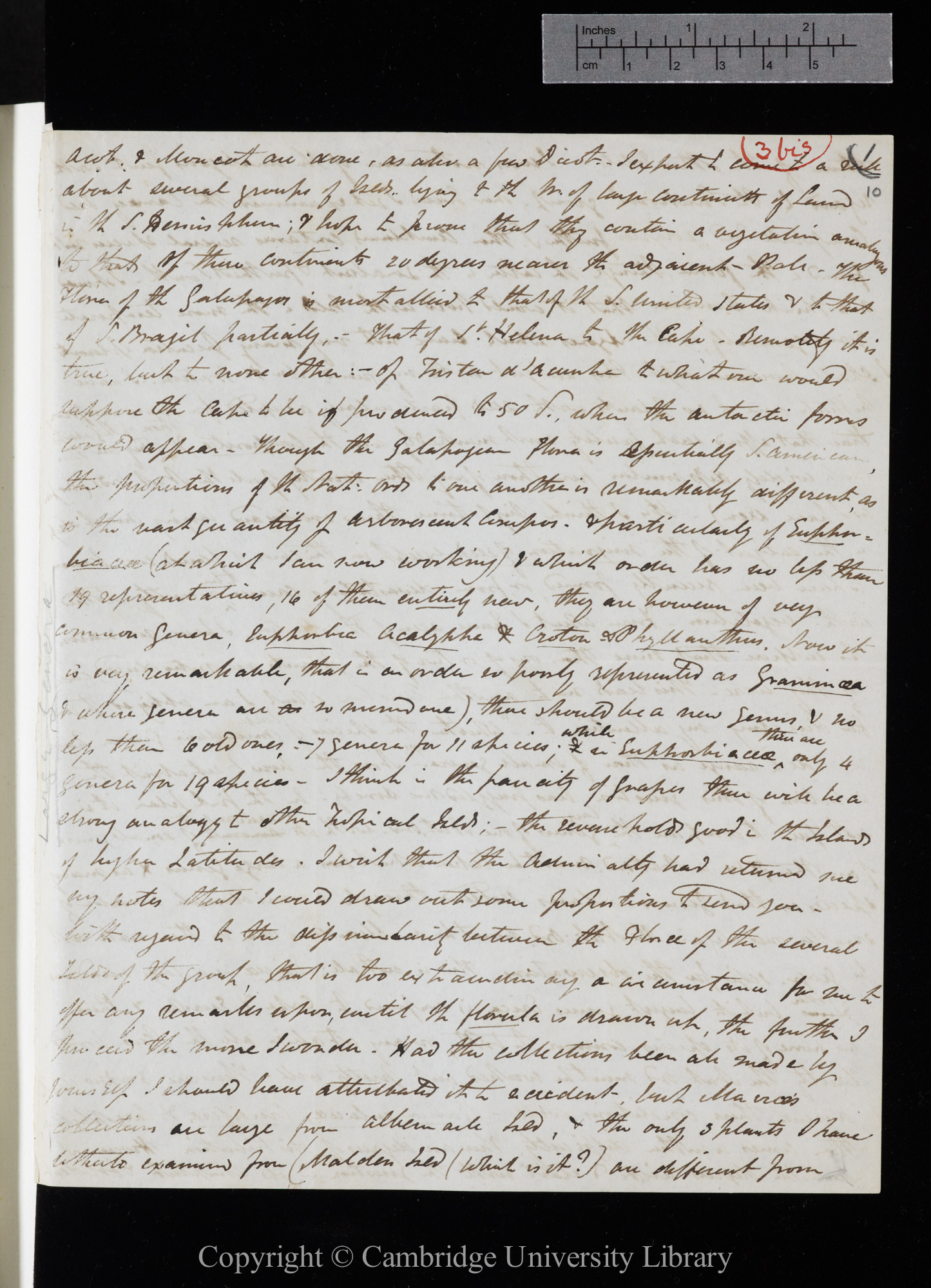 Letter from J. D. Hooker to C. R. Darwin [23 February - 6 March 1844]