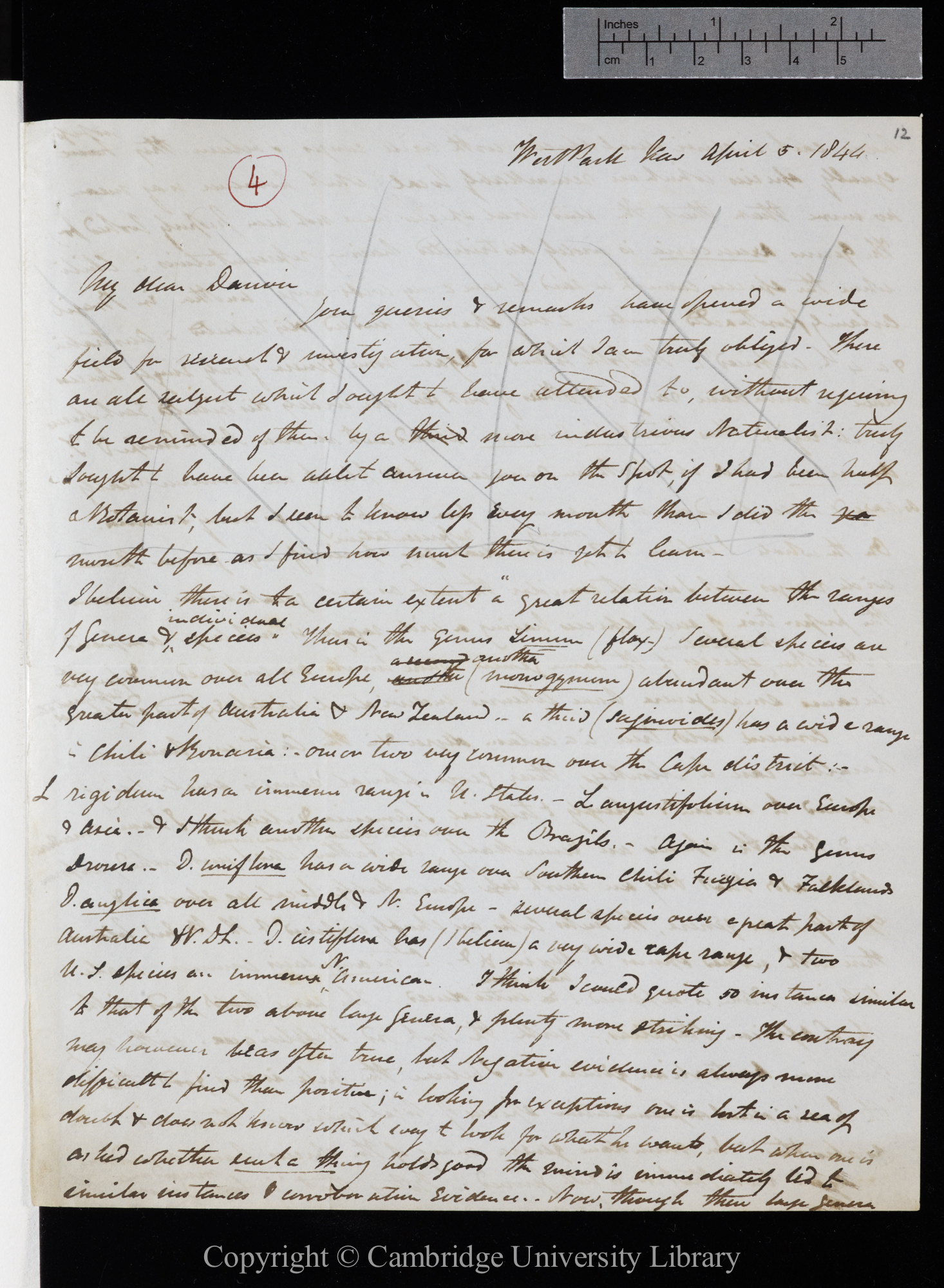 Letter from J. D. Hooker to C. R. Darwin   5 April 1844