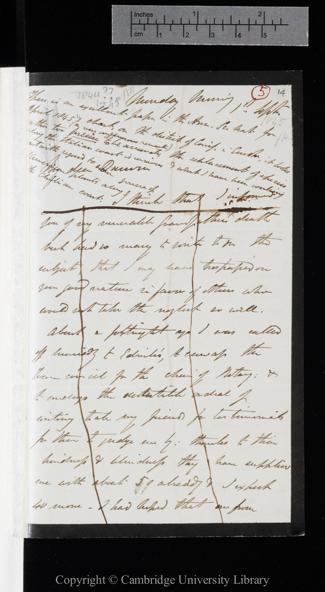 Letter from J. D. Hooker to C. R. Darwin   1 September [1845]