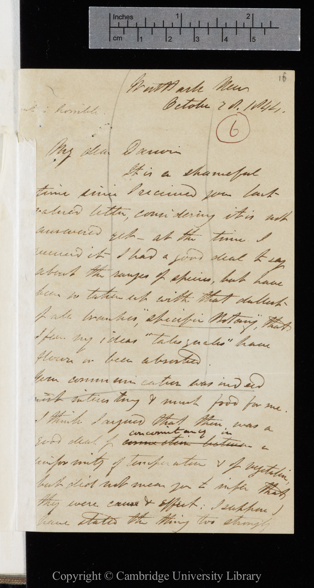 Letter from J. D. Hooker to C. R. Darwin   28 October 1844