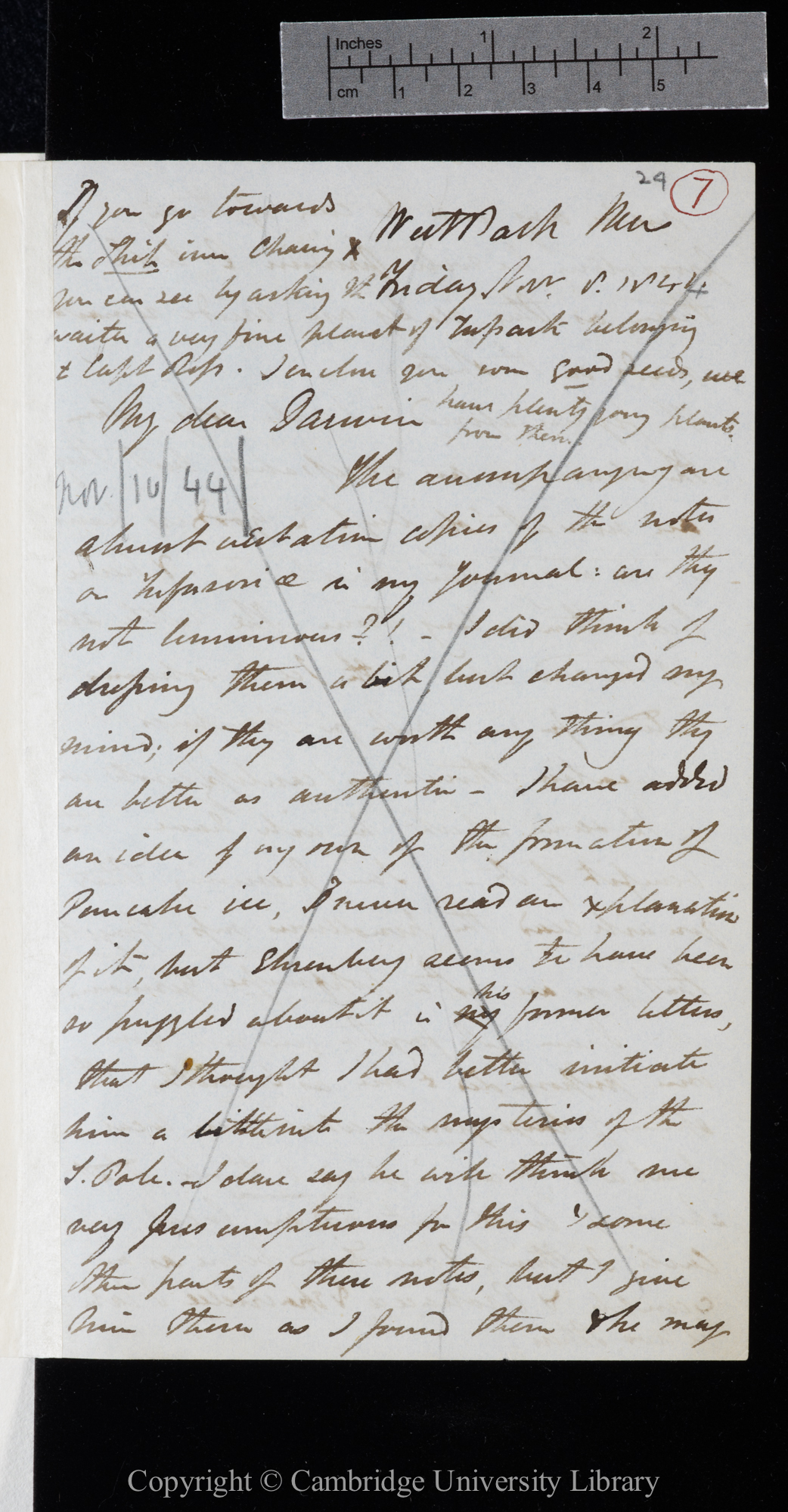 Letter from J. D. Hooker to C. R. Darwin   8 November 1844