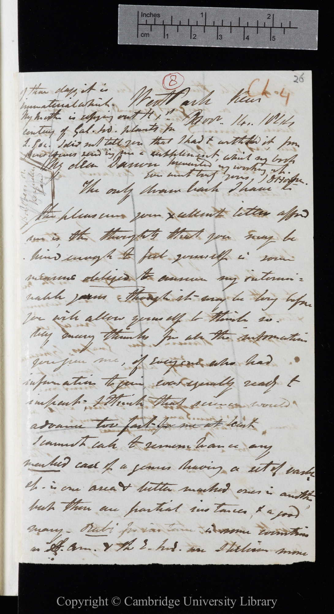 Letter from J. D. Hooker to C. R. Darwin   14 November 1844