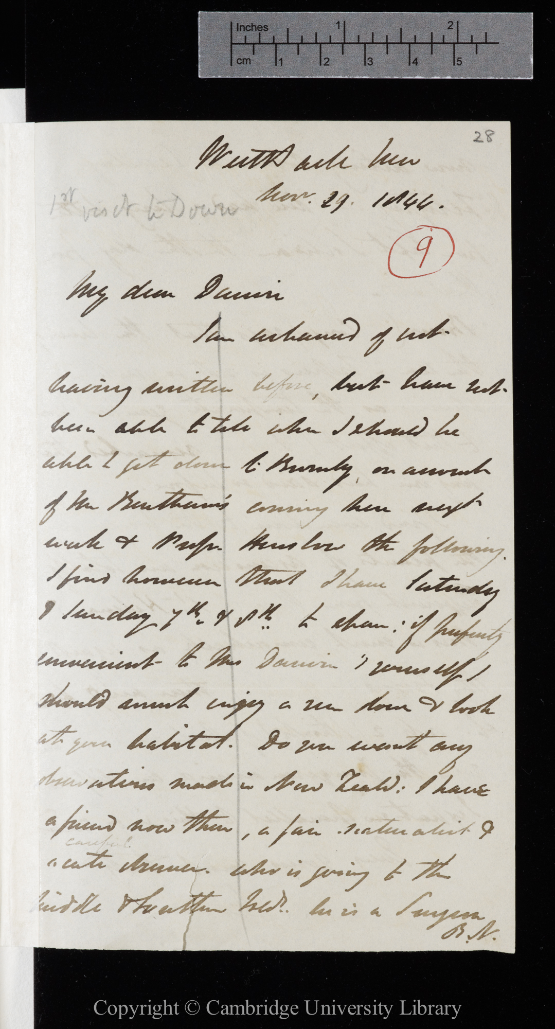 Letter from J. D. Hooker to C. R. Darwin   29 November 1844