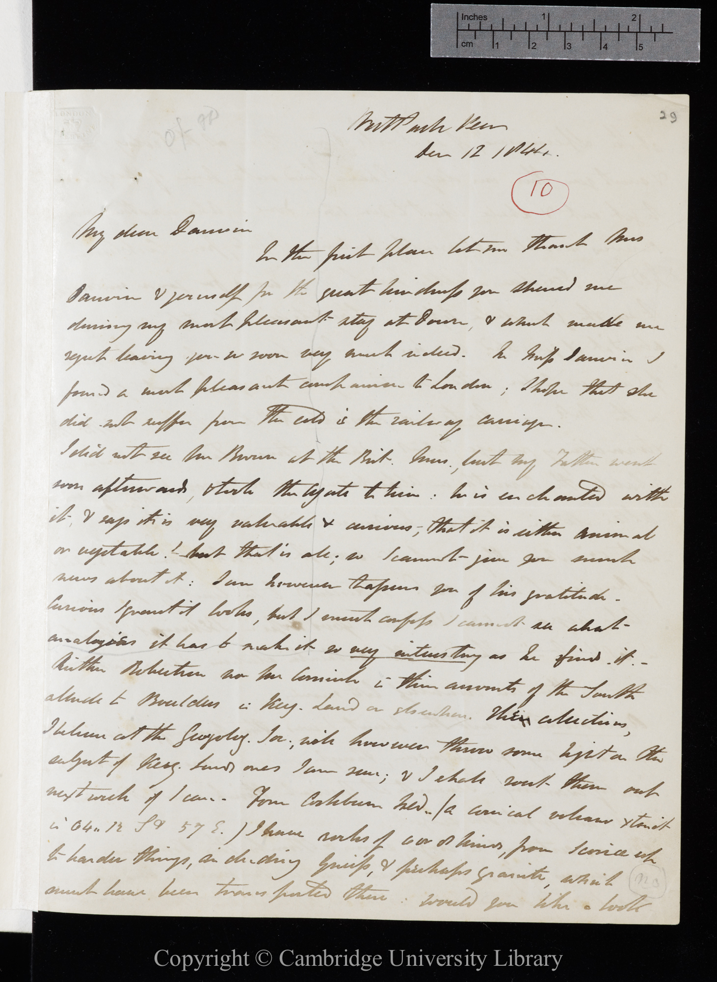 Letter from J. D. Hooker to C. R. Darwin   12 December 1844