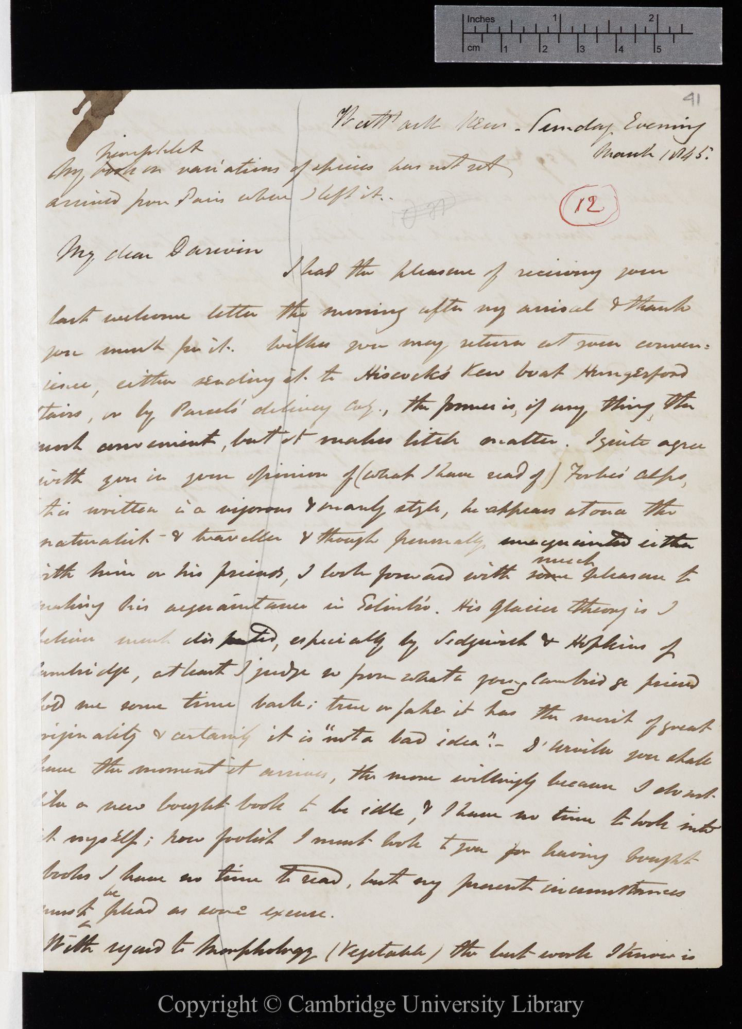 Letter from J. D. Hooker to C. R. Darwin   [23] March 1845