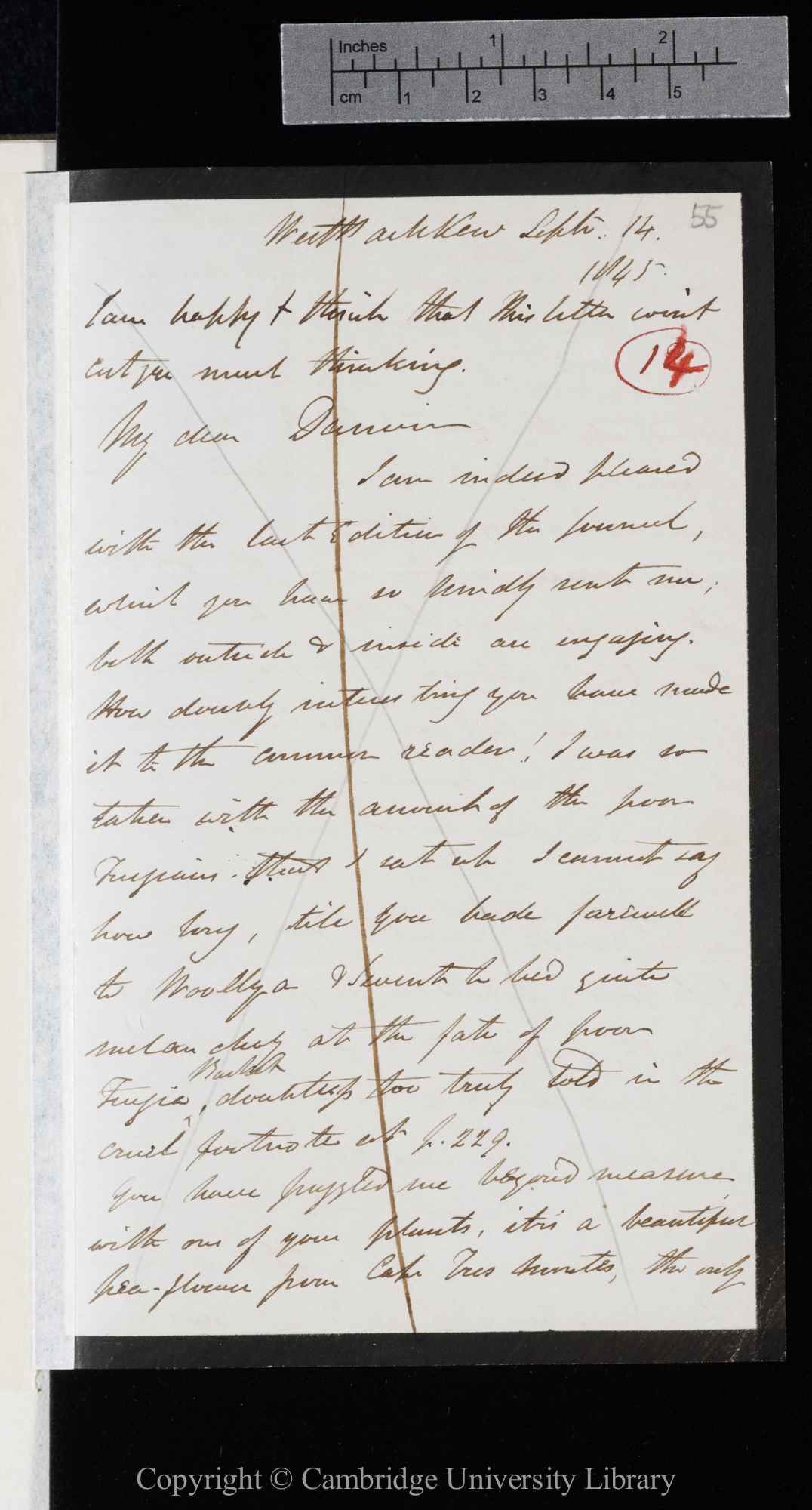 Letter from J. D. Hooker to C. R. Darwin   14 September 1845