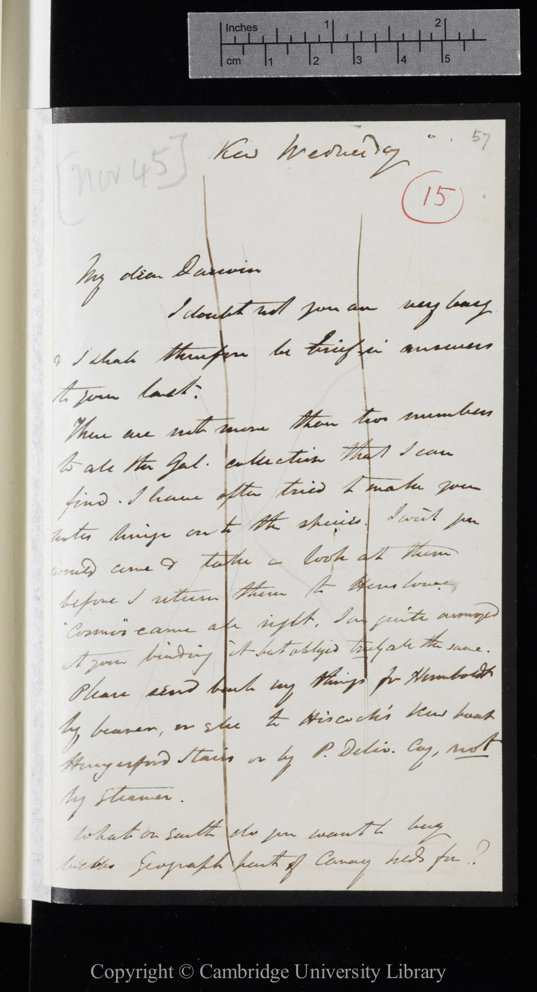 Letter from J. D. Hooker to C. R. Darwin   [19 November 1845]