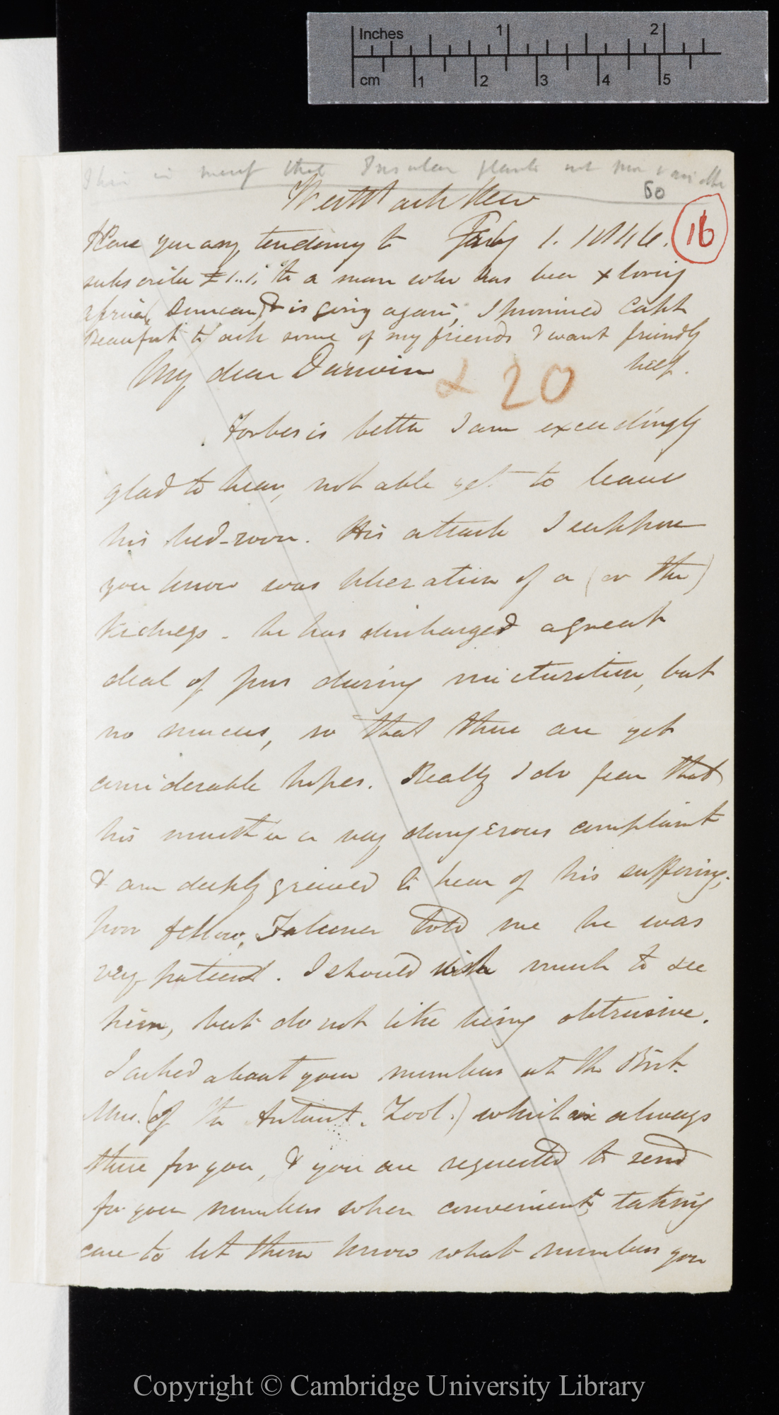 Letter from J. D. Hooker to C. R. Darwin   1 February 1846