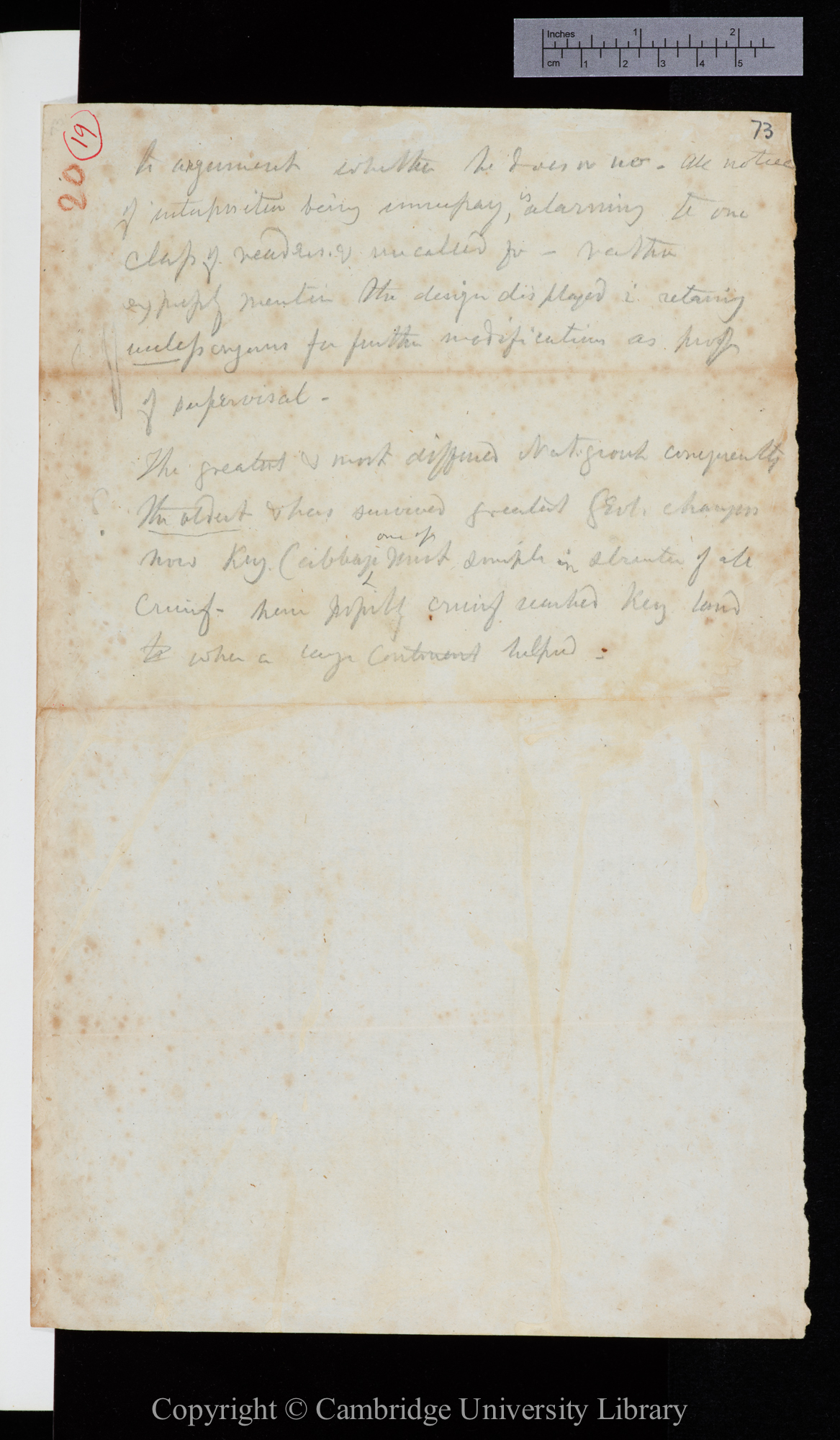 Letter from J. D. Hooker to C. R. Darwin   [c. 4 March 1847]