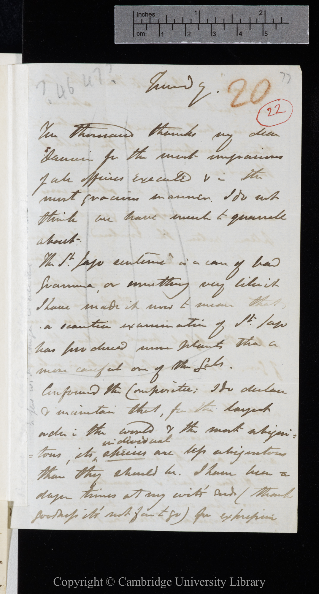 Letter from J. D. Hooker to C. R. Darwin   [24 November 1846]