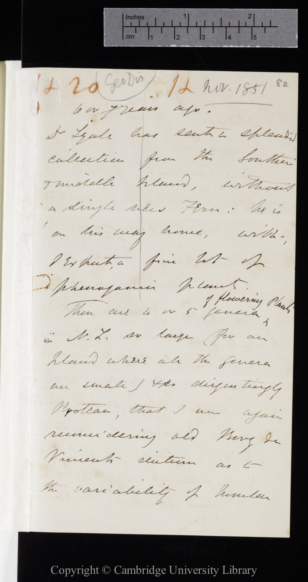 Letter from J. D. Hooker to C. R. Darwin   [November 1851]