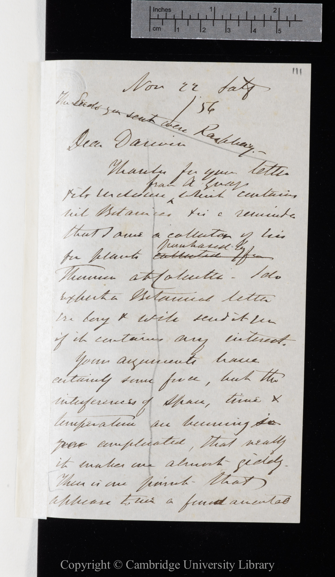 Letter from J. D. Hooker to C. R. Darwin   22 November 1856
