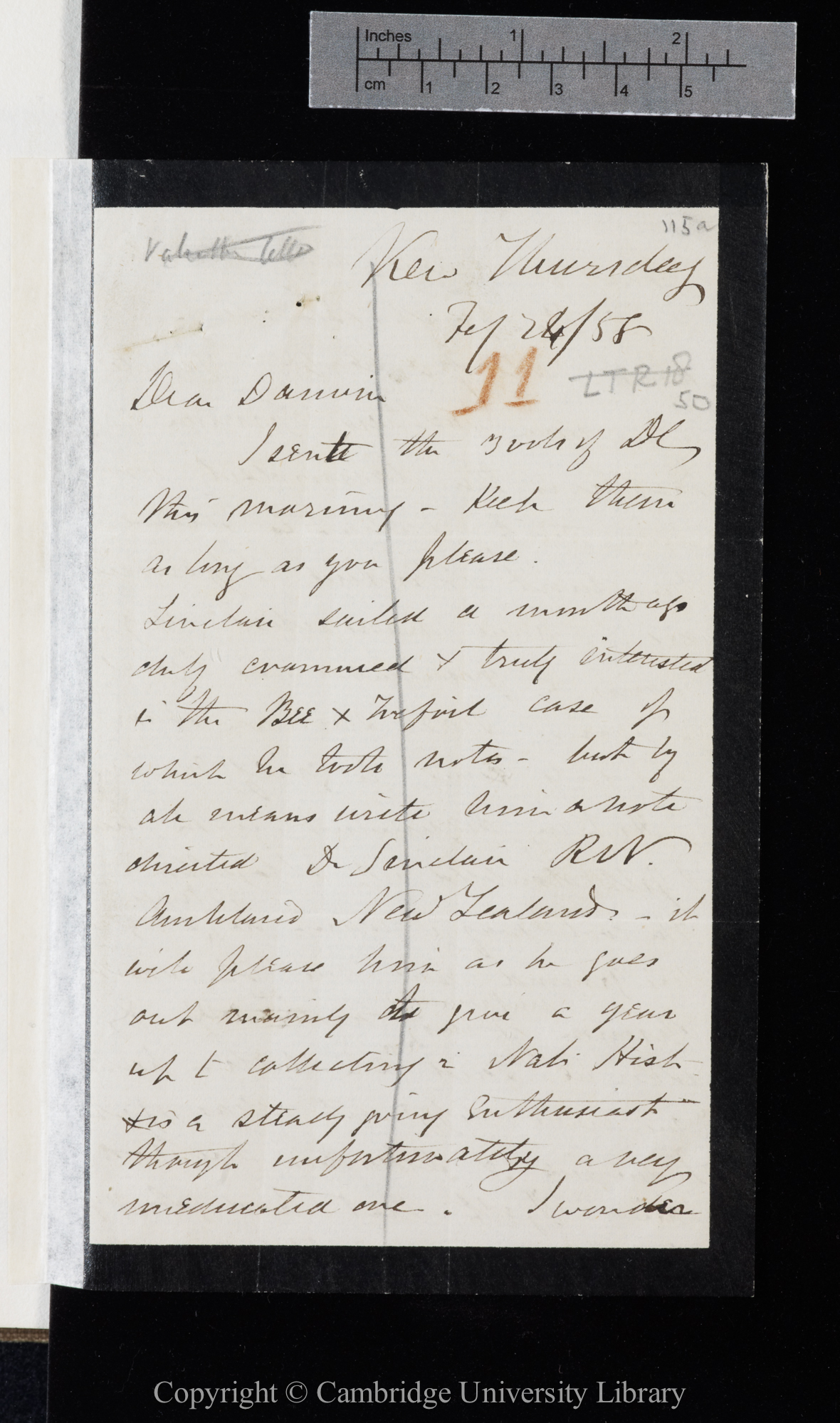 Letter from J. D. Hooker to C. R. Darwin   [25] February 1858