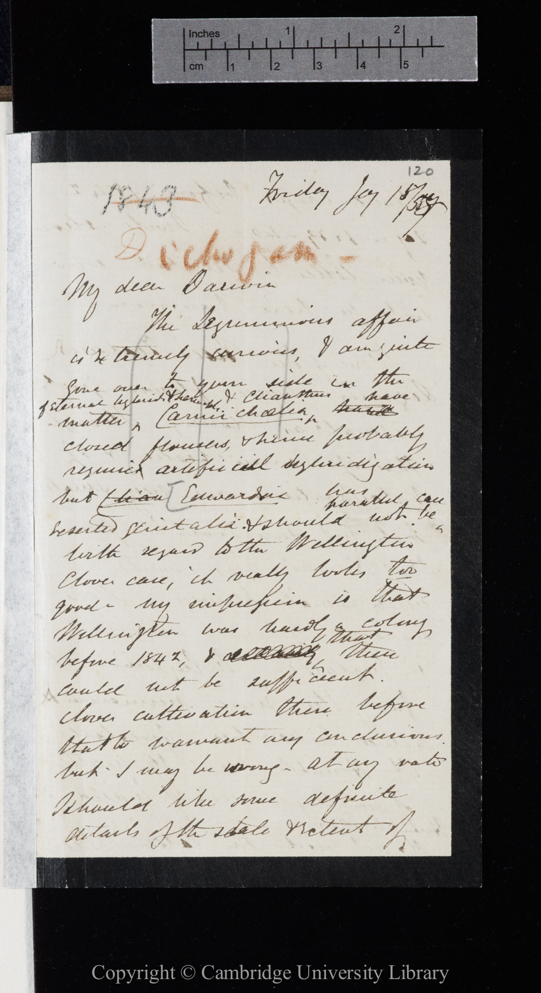 Letter from J. D. Hooker to C. R. Darwin   15 January 1858