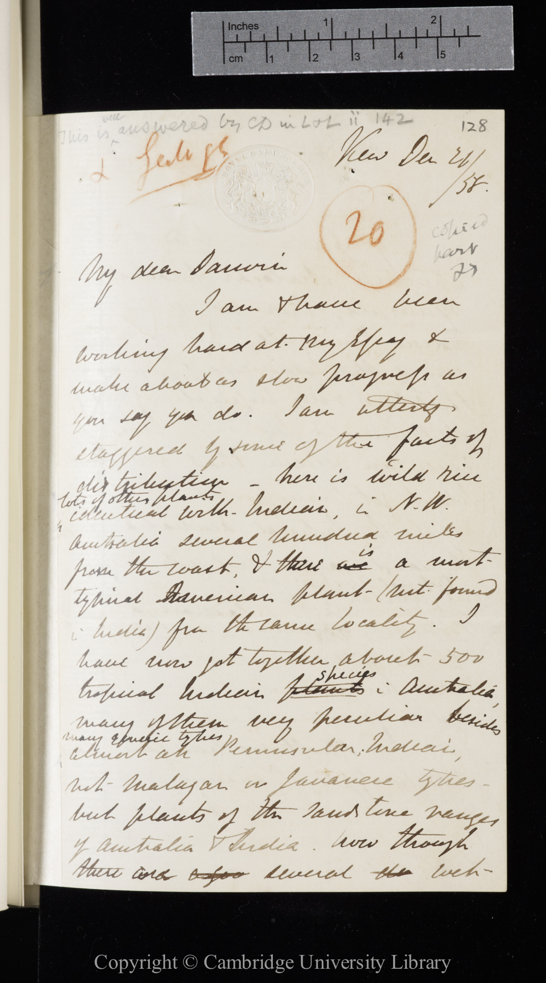 Letter from J. D. Hooker to C. R. Darwin   22 December 1858