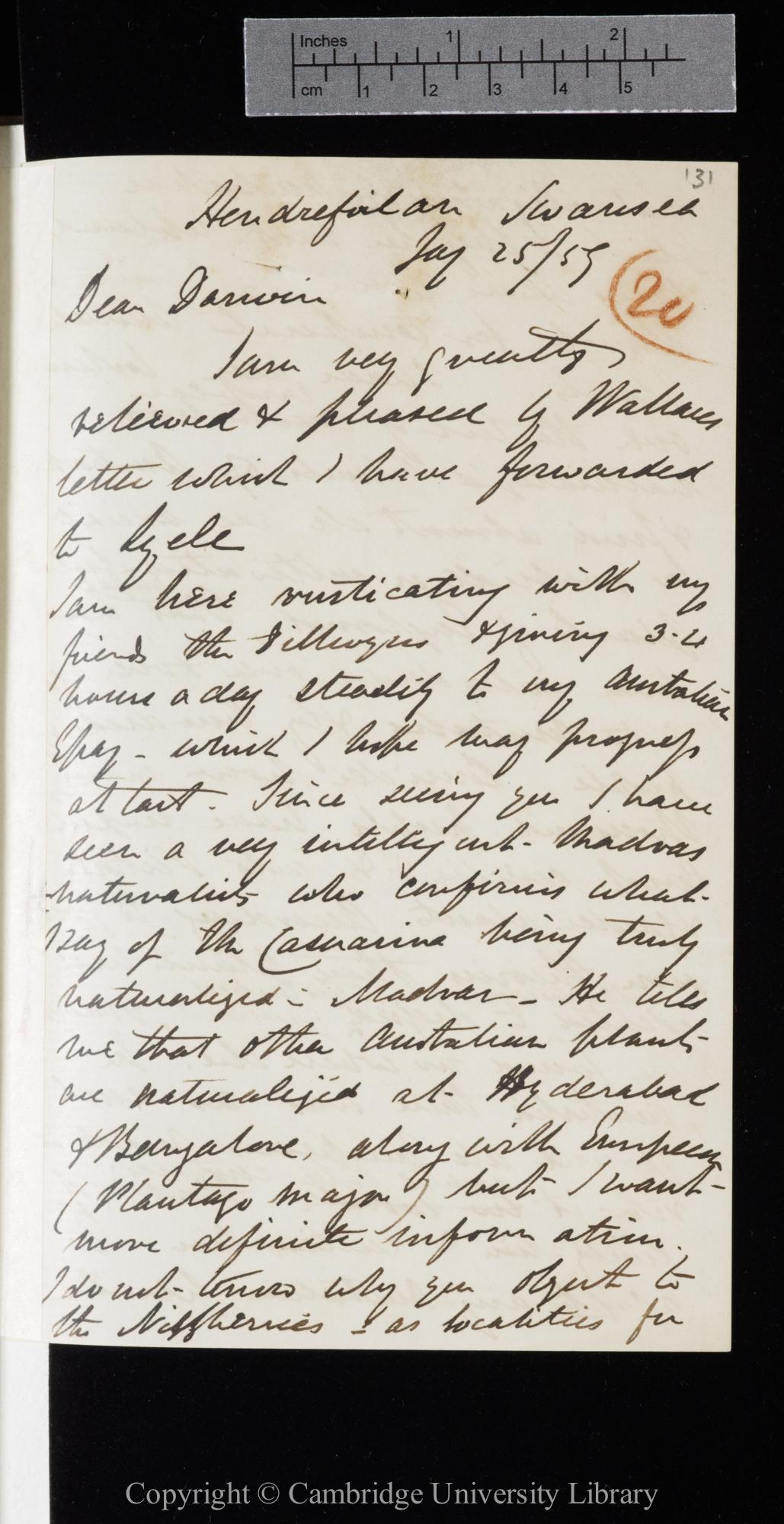 Letter from J. D. Hooker to C. R. Darwin   25 January 1859