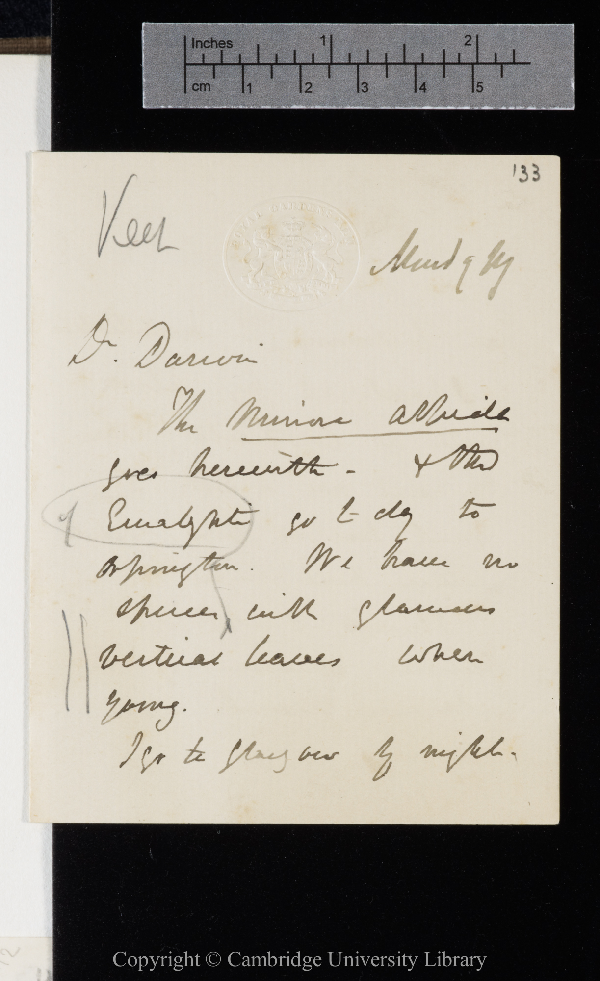 Letter from J. D. Hooker to C. R. Darwin   17 [November 1873]