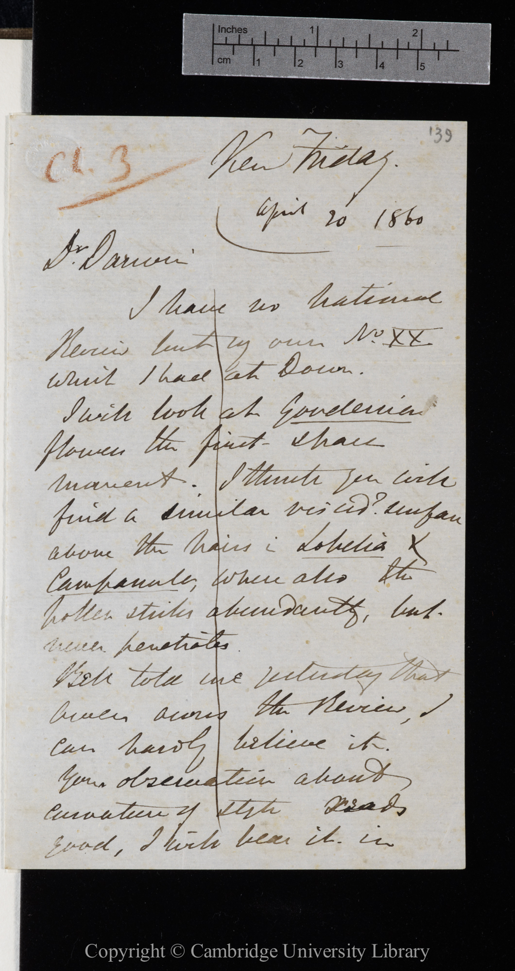 Letter from J. D. Hooker to C. R. Darwin   [20 April 1860]