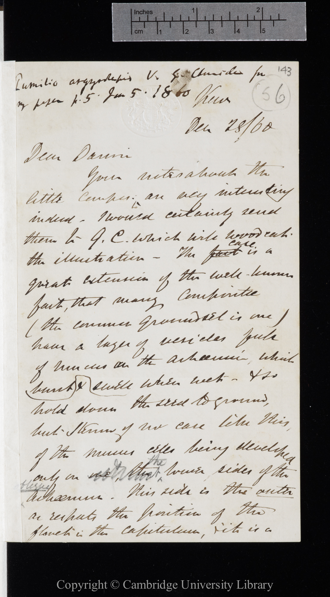 Letter from J. D. Hooker to C. R. Darwin   28 December 1860