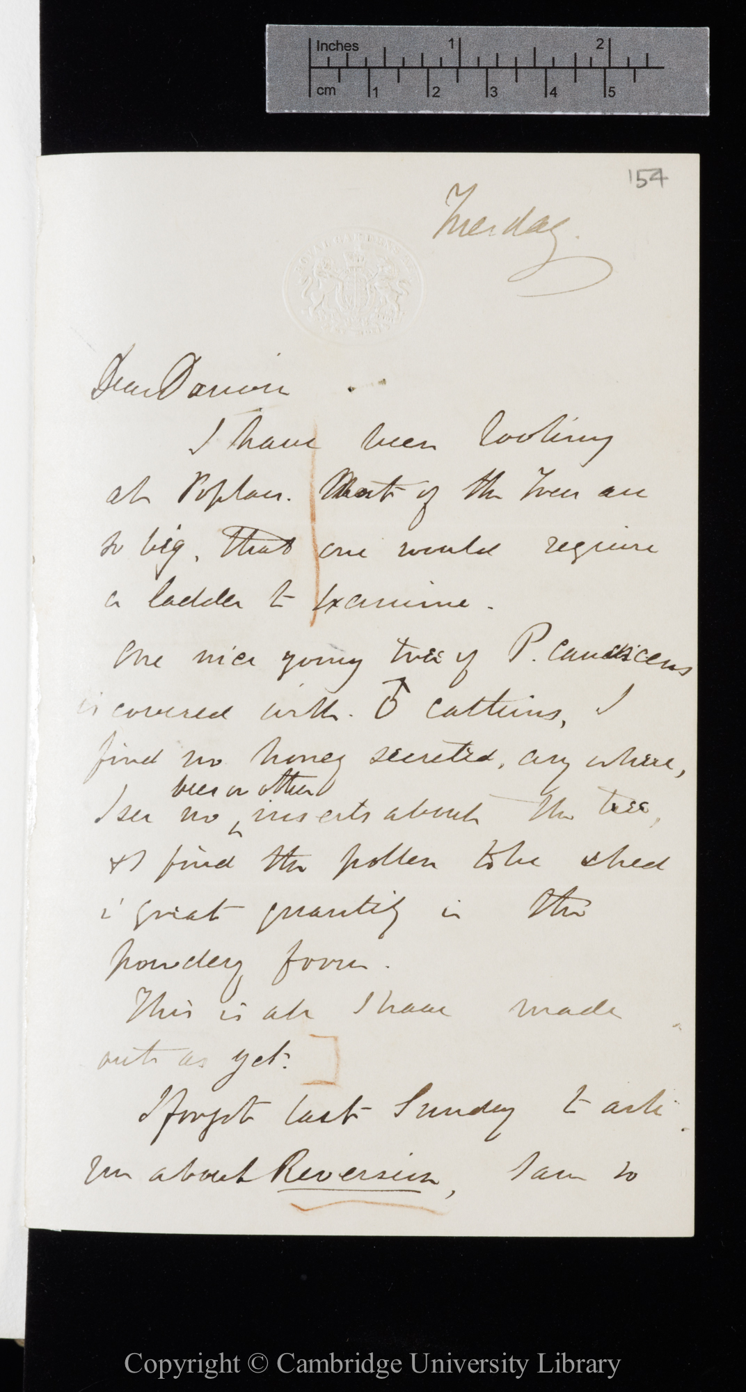 Letter from J. D. Hooker to C. R. Darwin   [24 March 1863]